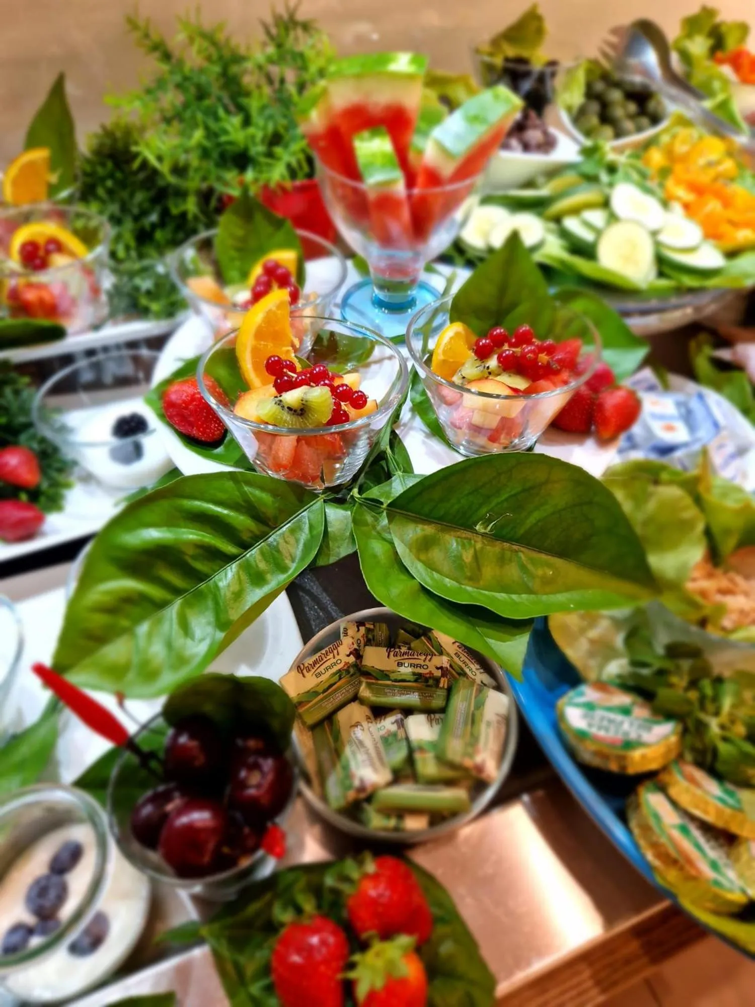 Casa Dominova de Luxe