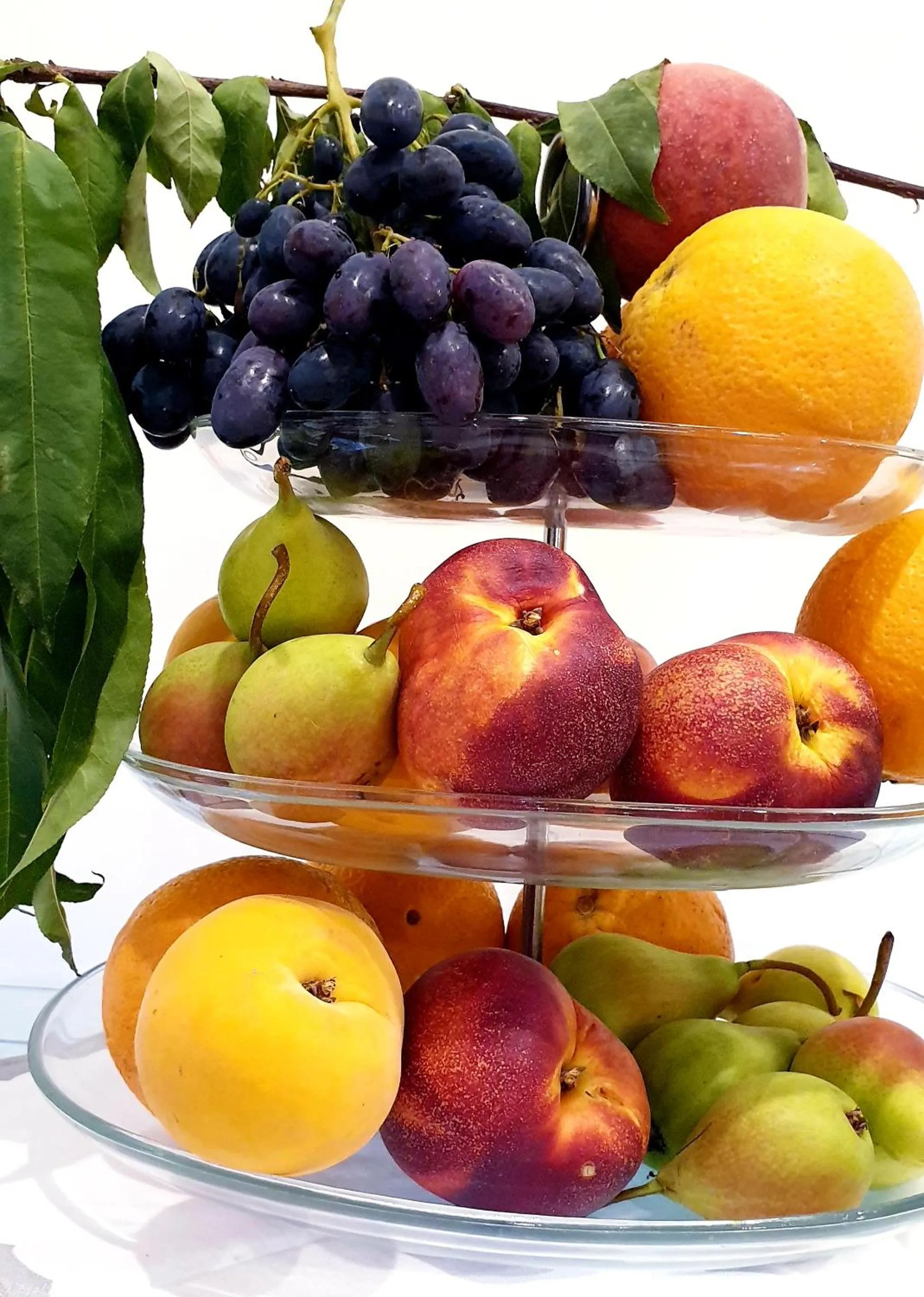 Casa Dominova de Luxe