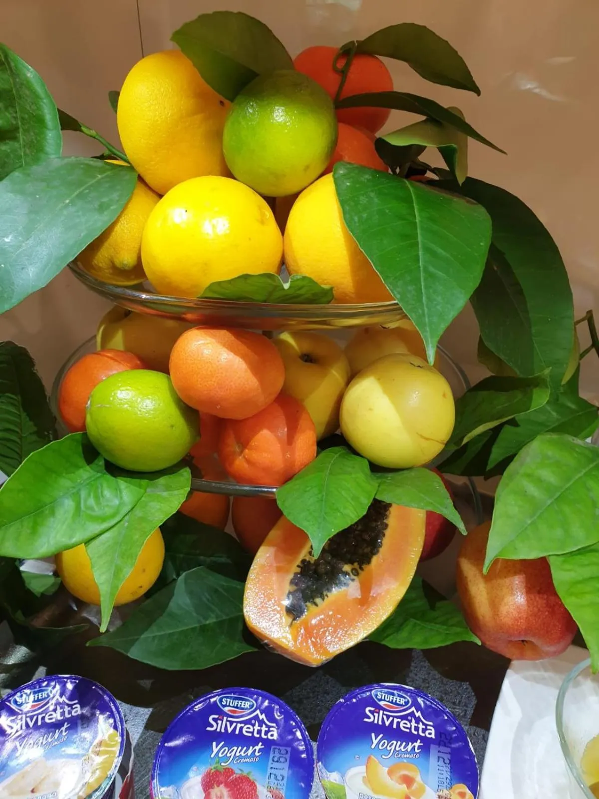 Casa Dominova de Luxe