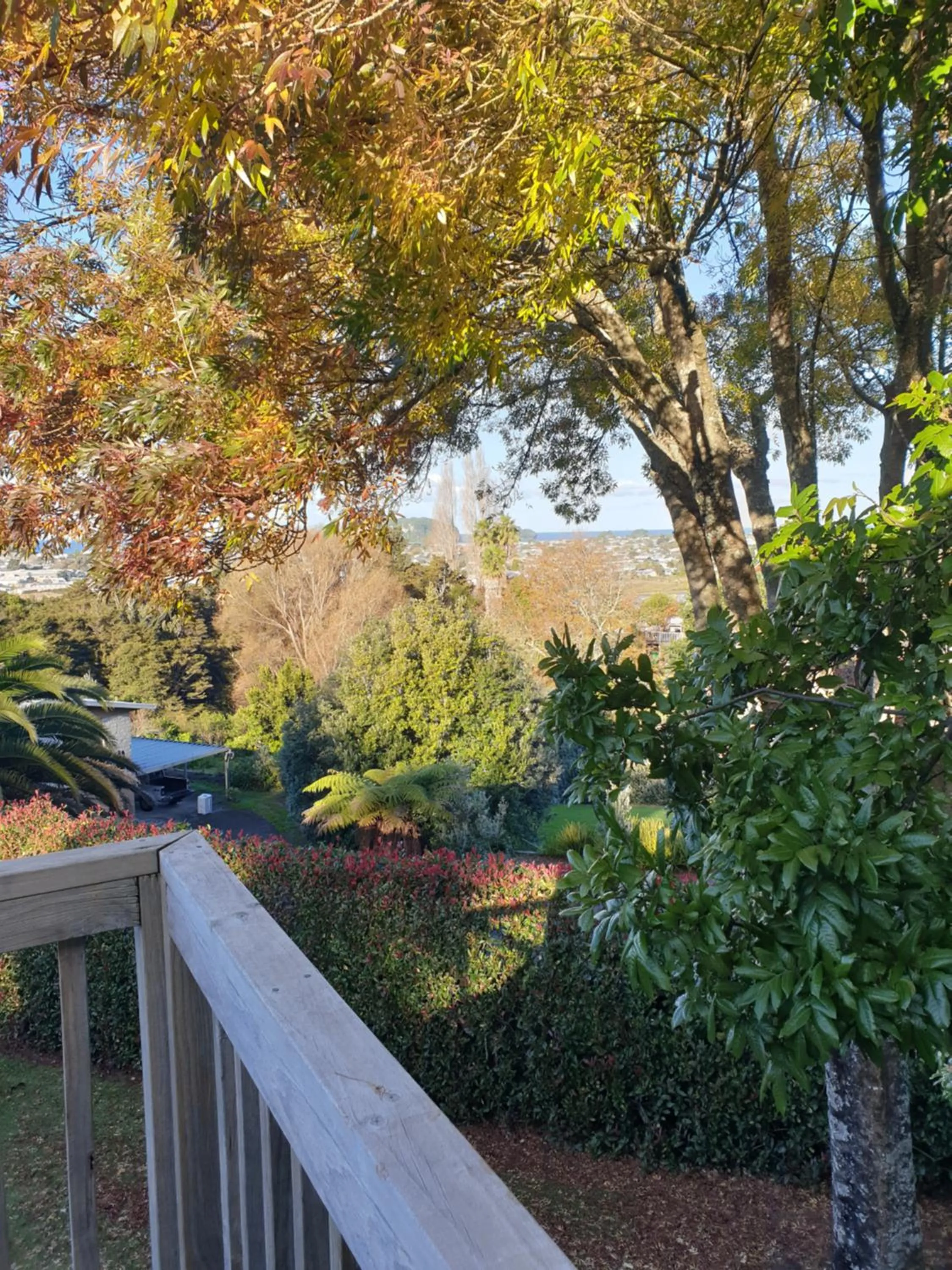 Garden view in Brenton Lodge