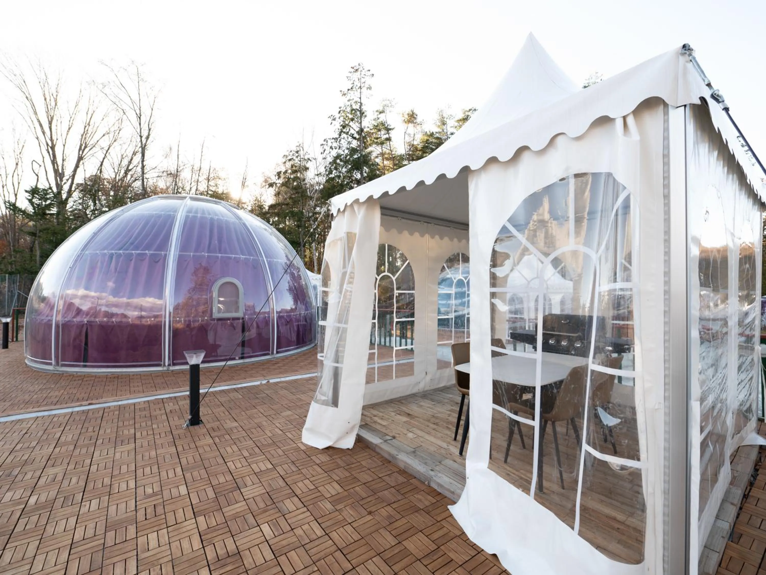 Photo of the whole room in Fuji Hoshizorano Mura Tabist