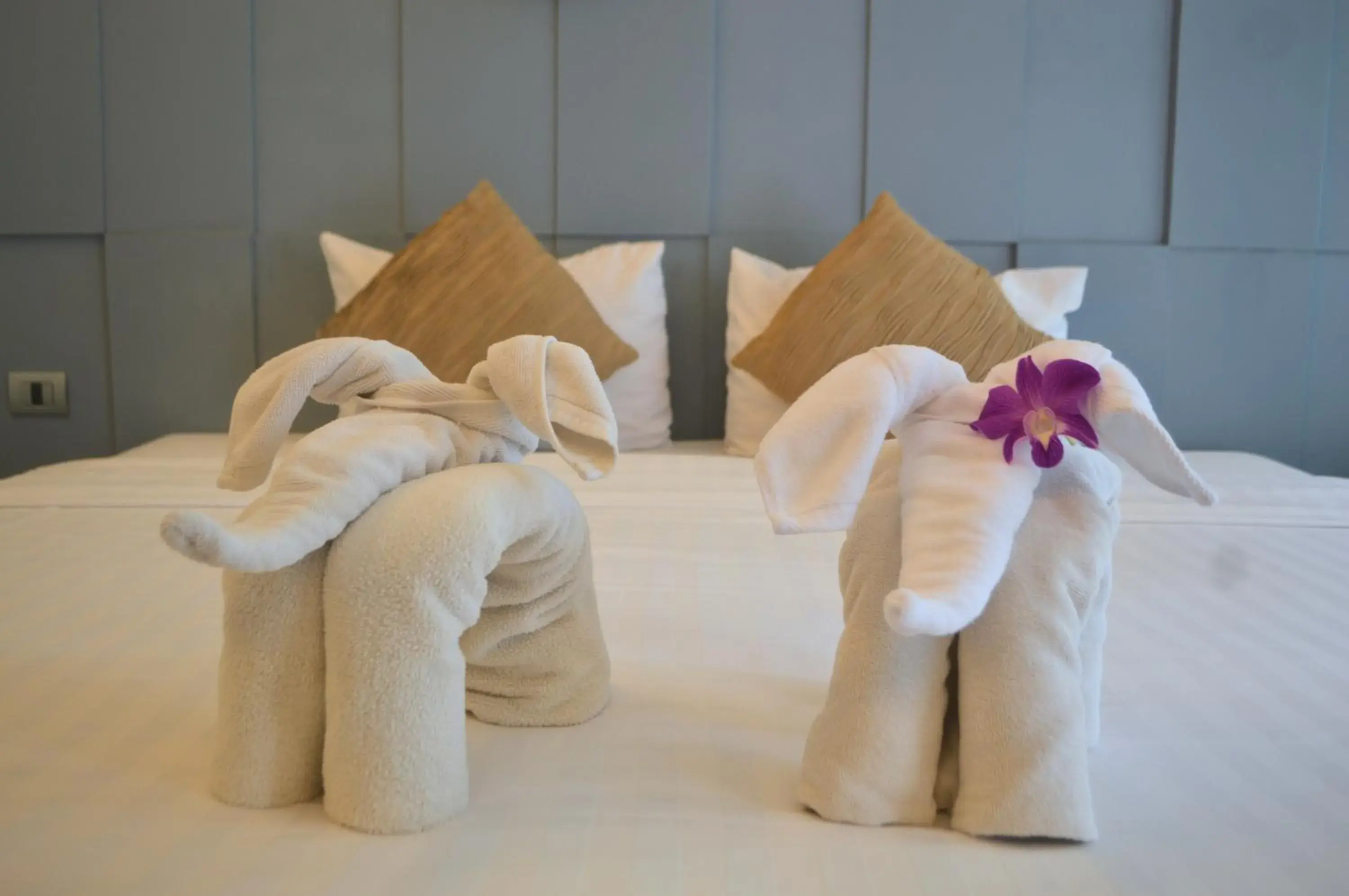 Superior Double or Twin Room with Pool View in Z&Z Resort Superior Double or Twin Room with Pool View in Z&Z Resort