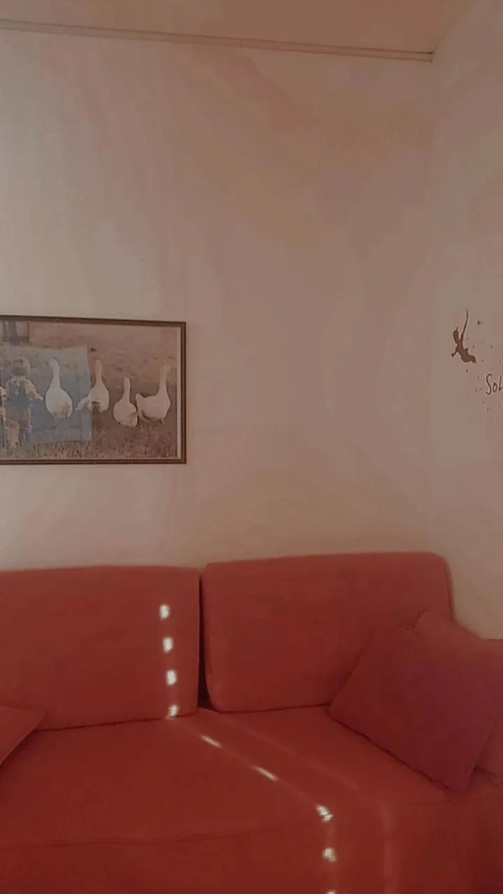 albergo del turista srl