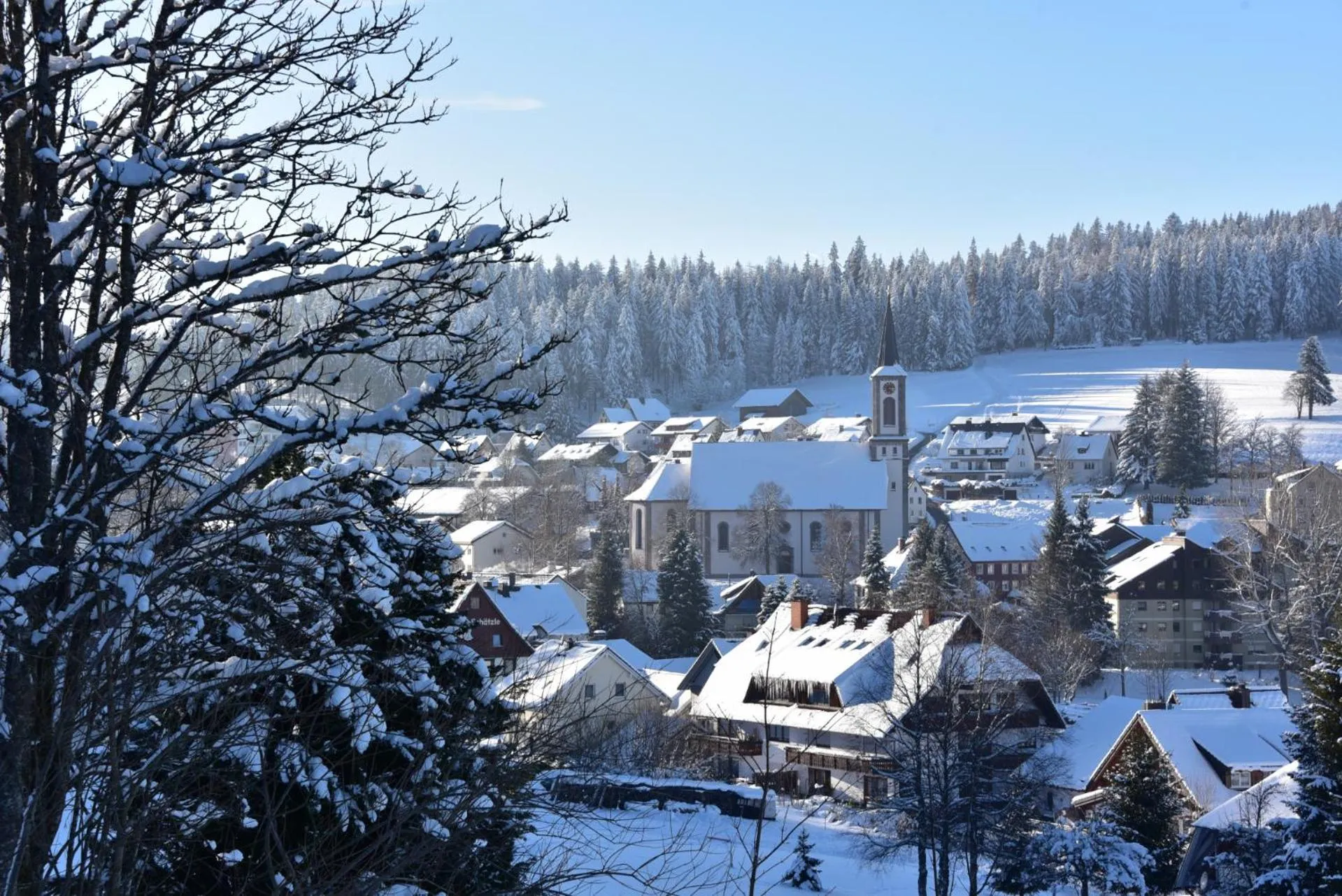 Neighbourhood in Carpediem Apartments
