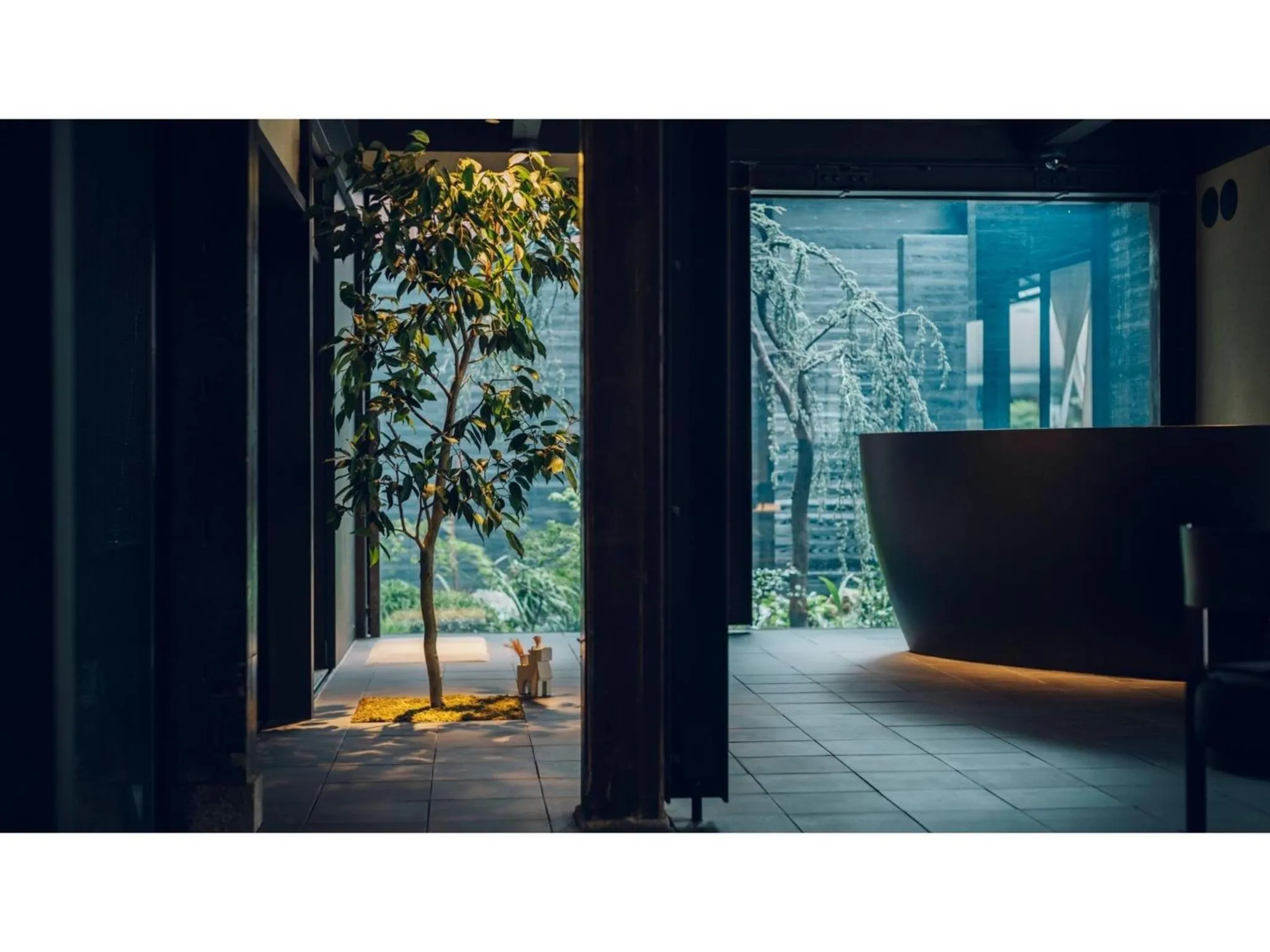 nol kyoto sanjo - Vacation STAY 00926v