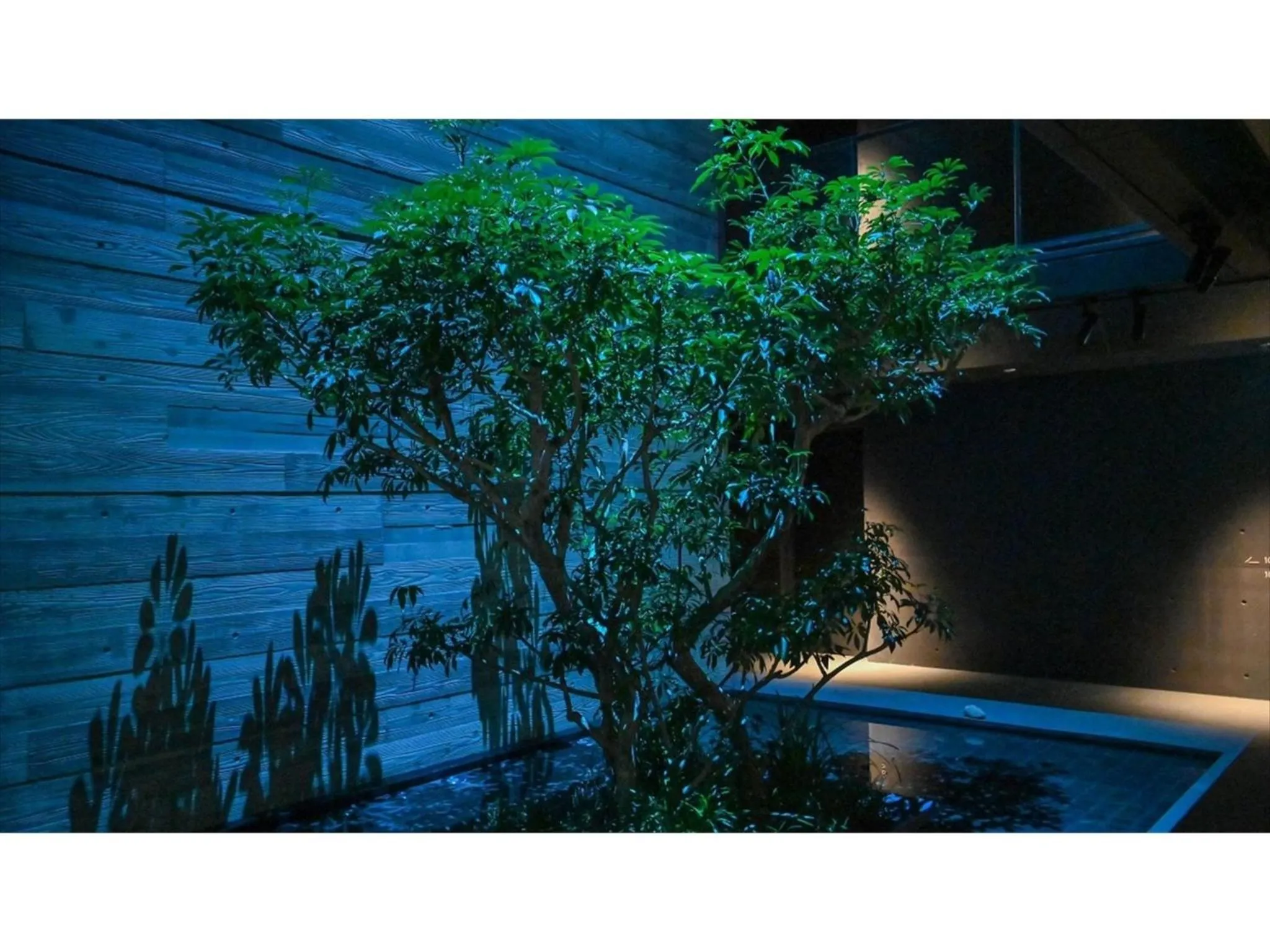 nol kyoto sanjo - Vacation STAY 00926v