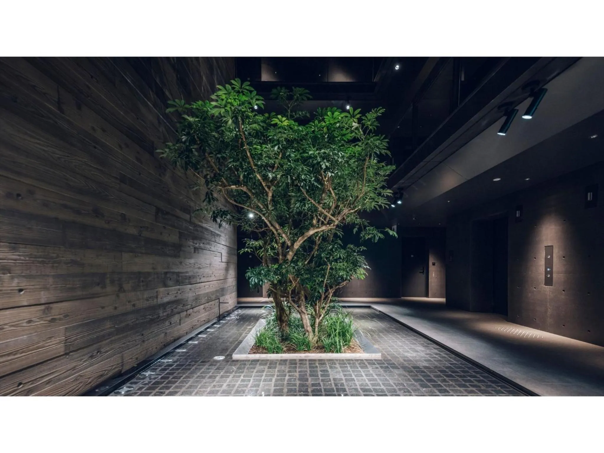 nol kyoto sanjo - Vacation STAY 00926v