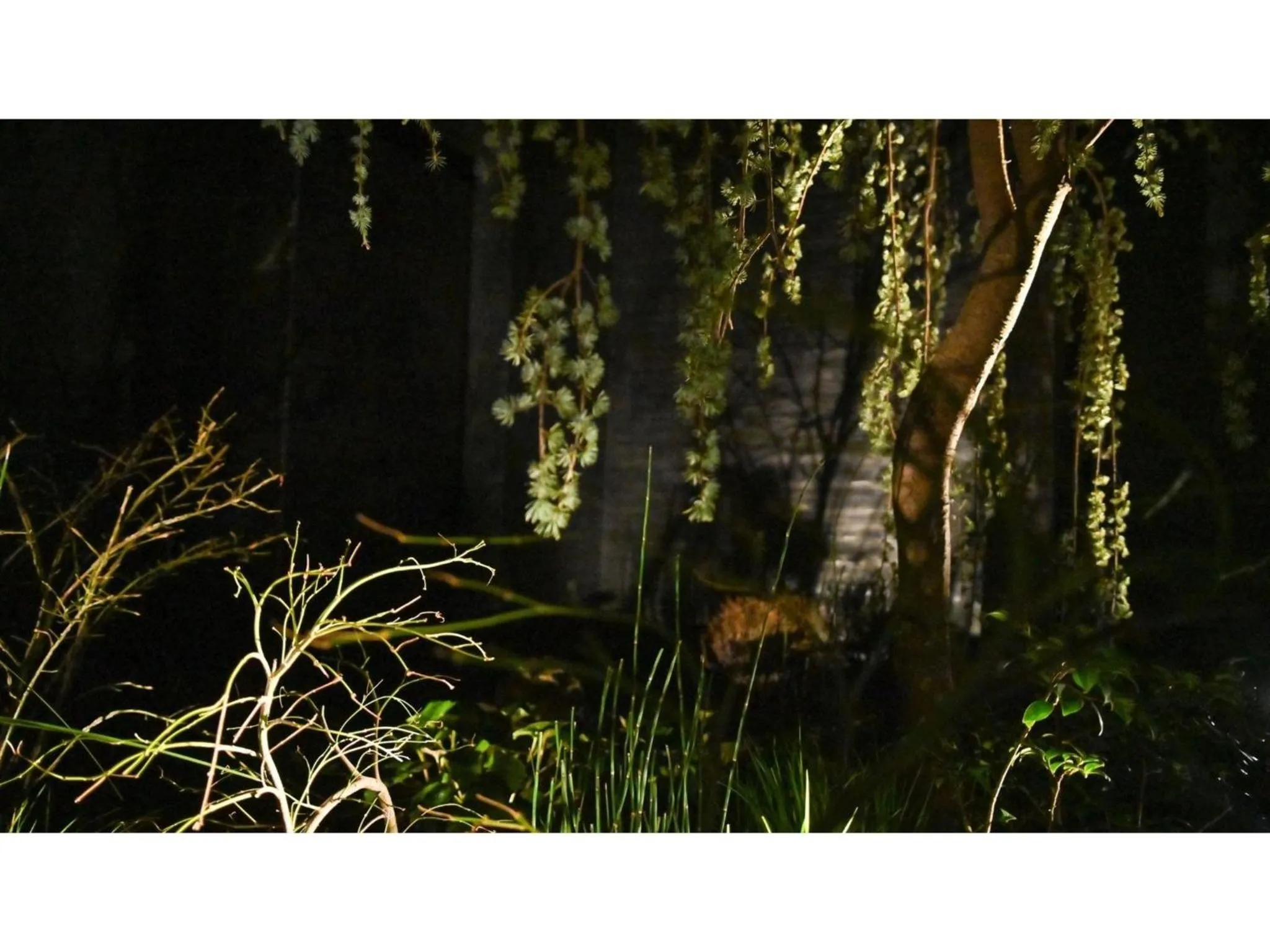 nol kyoto sanjo - Vacation STAY 97692v