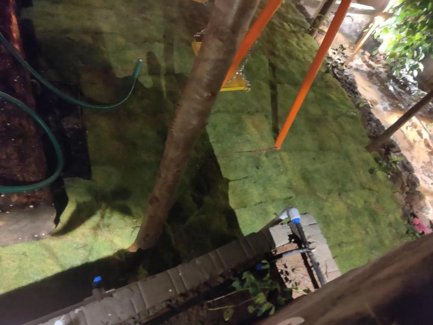 Garden in Bhavan Resorts