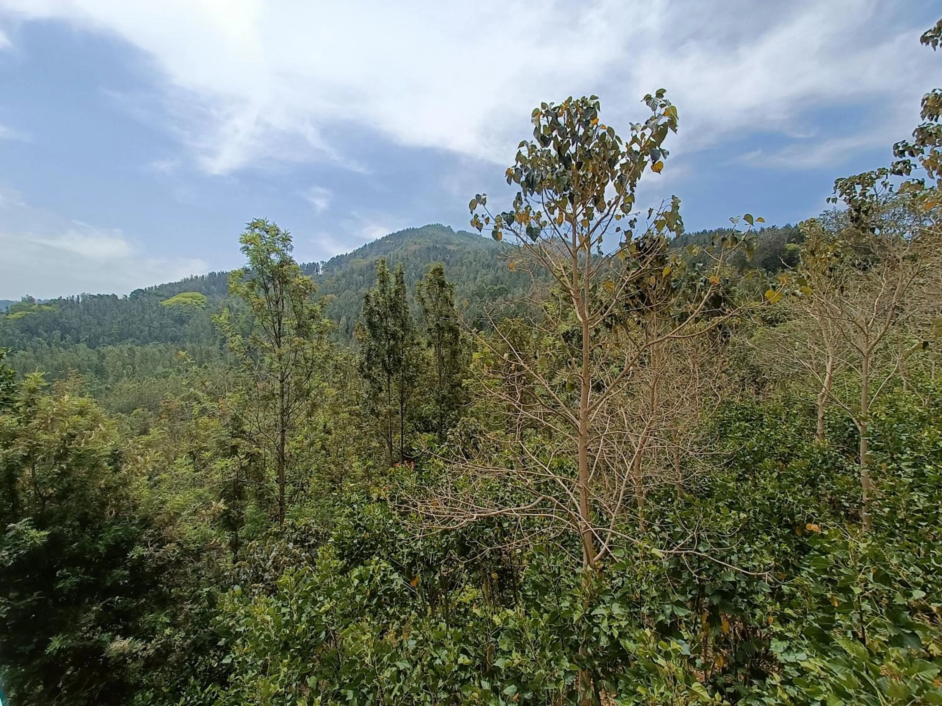 View (from property/room) in Bhavan Resorts