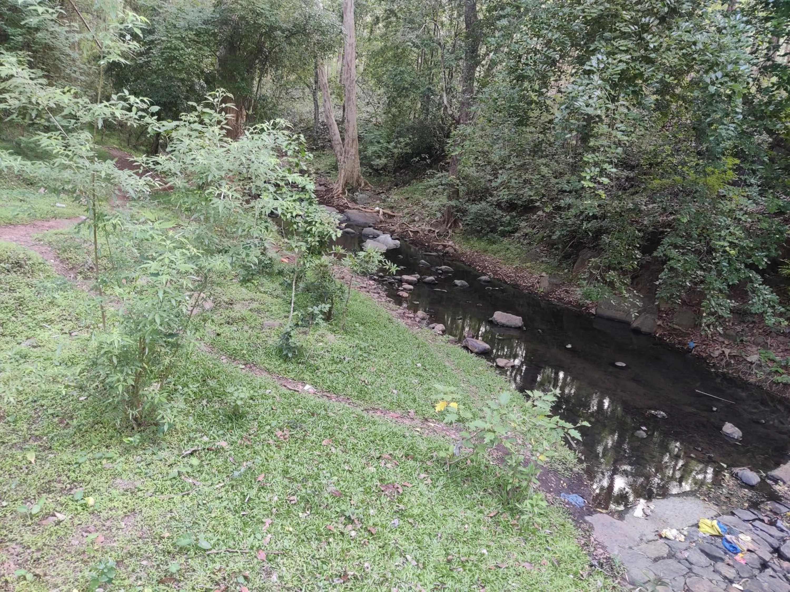 Neighbourhood in Bhavan Resorts