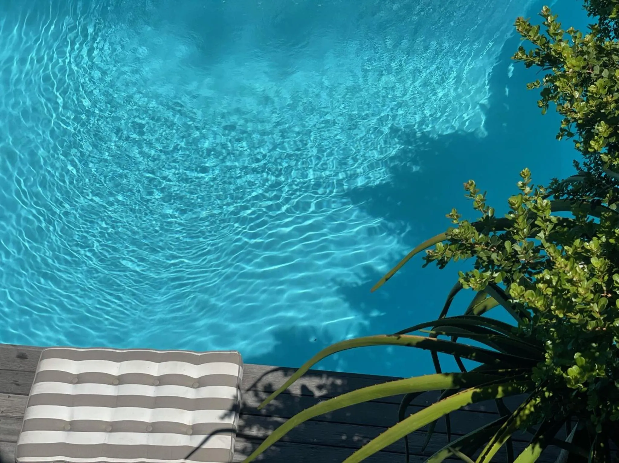 Swimming pool in Sea Five Boutique Hotel