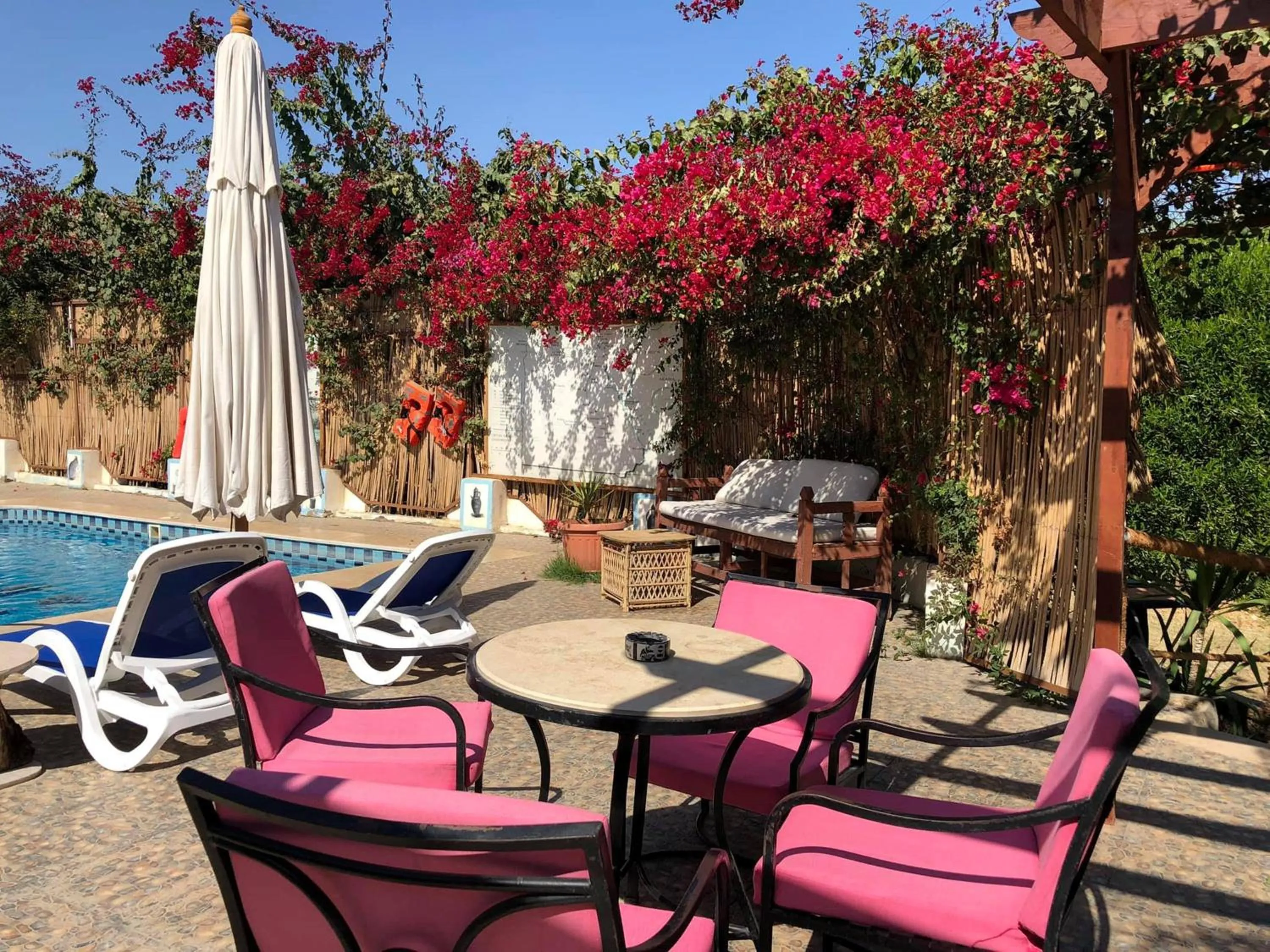 Garden in Nile Compound