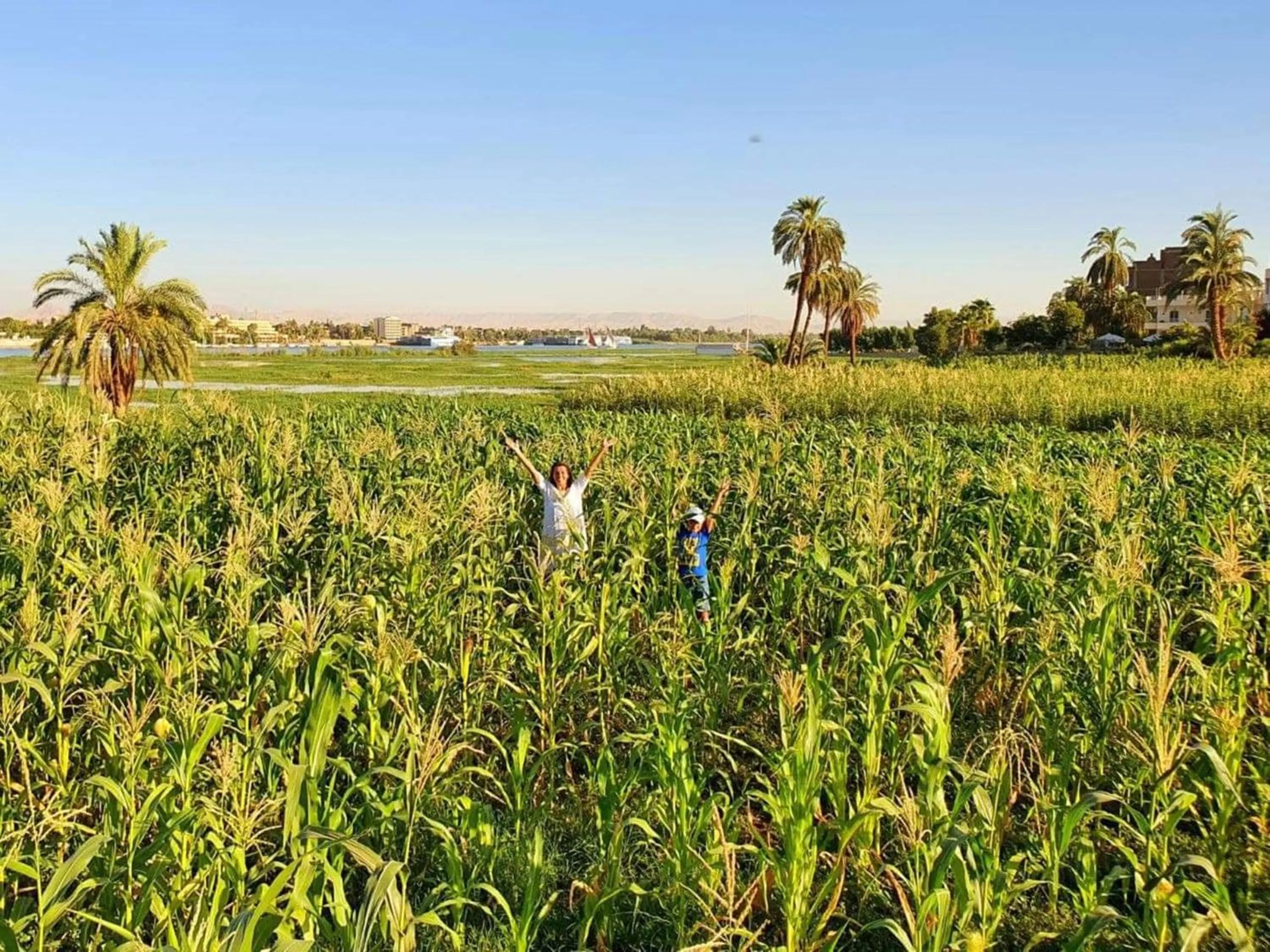 Natural landscape in Nile Compound