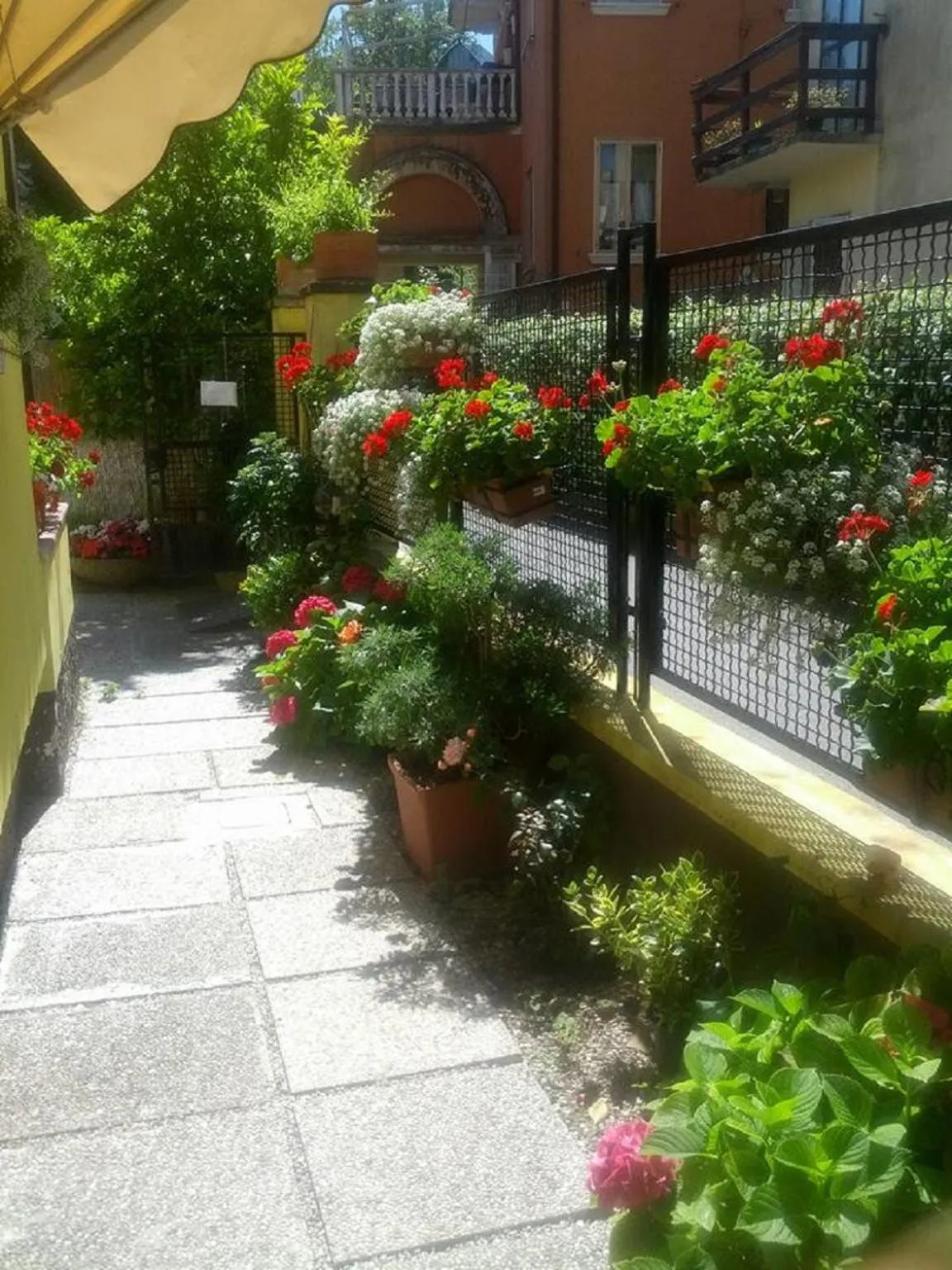 Garden in Hotel Villa Tiziana