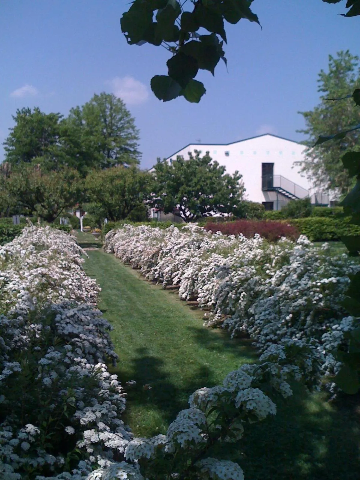 Garden in Hotel all'Orso