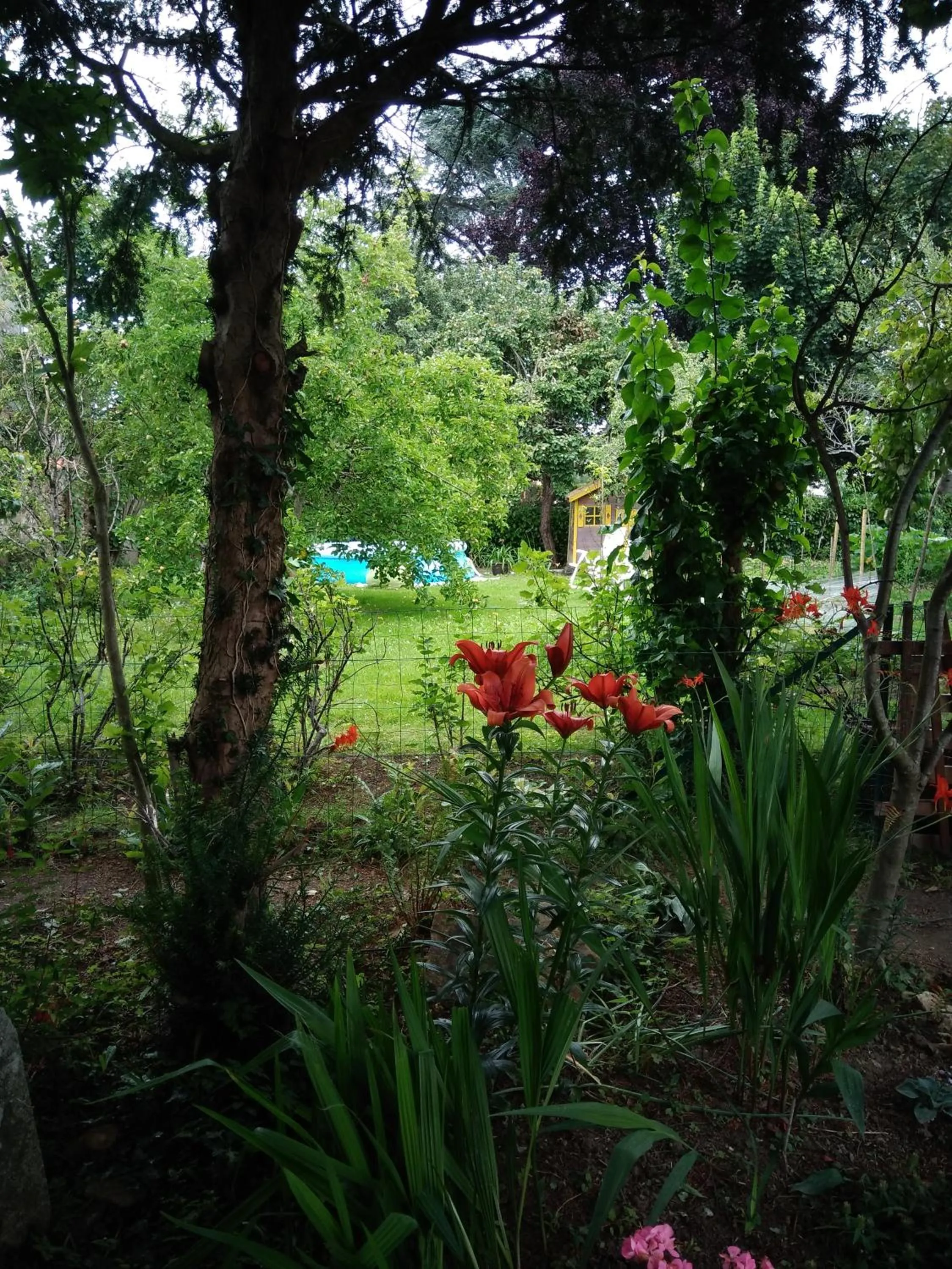 Garden in Les Clés du Parc