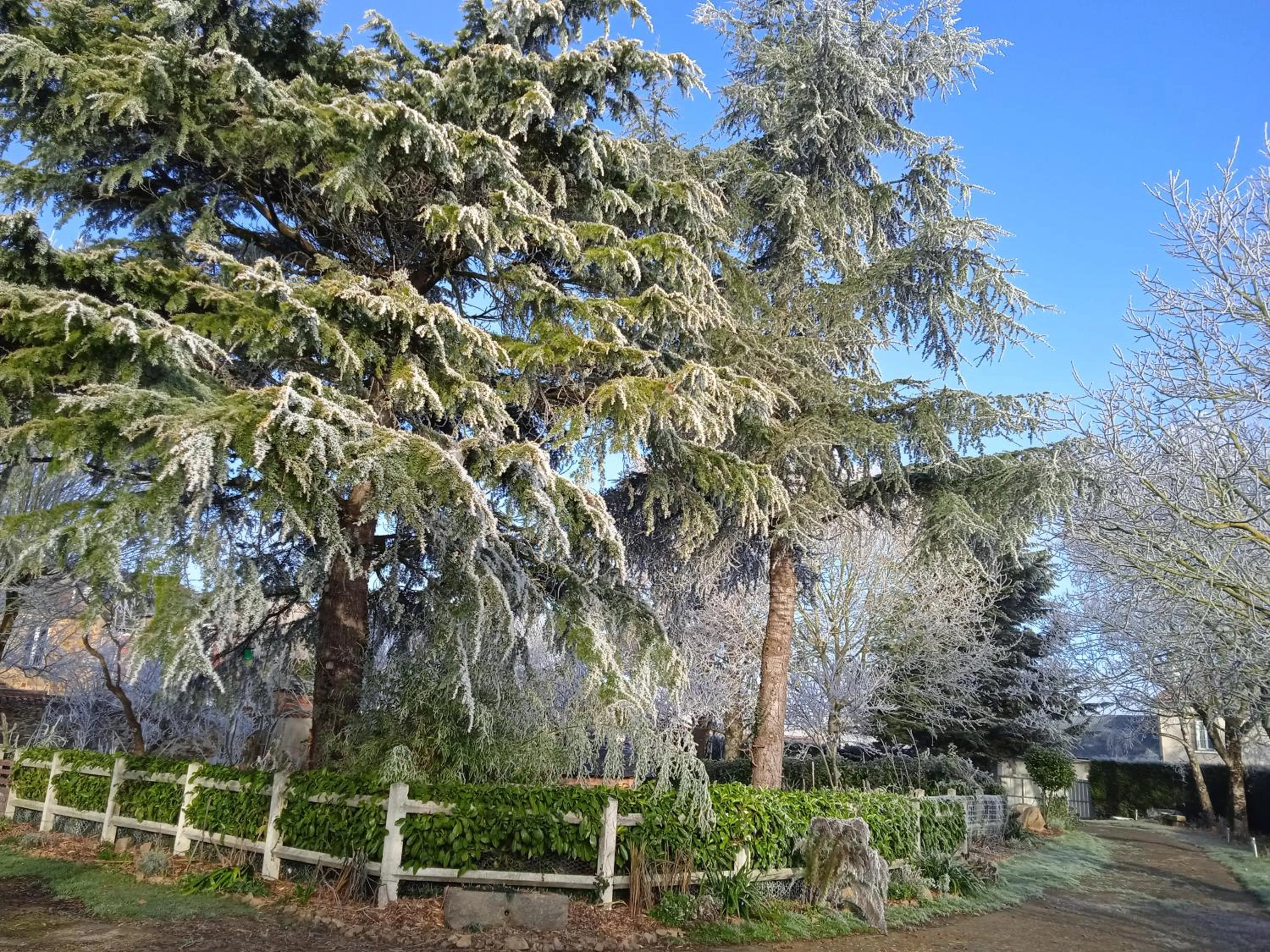 Garden in Les Clés du Parc