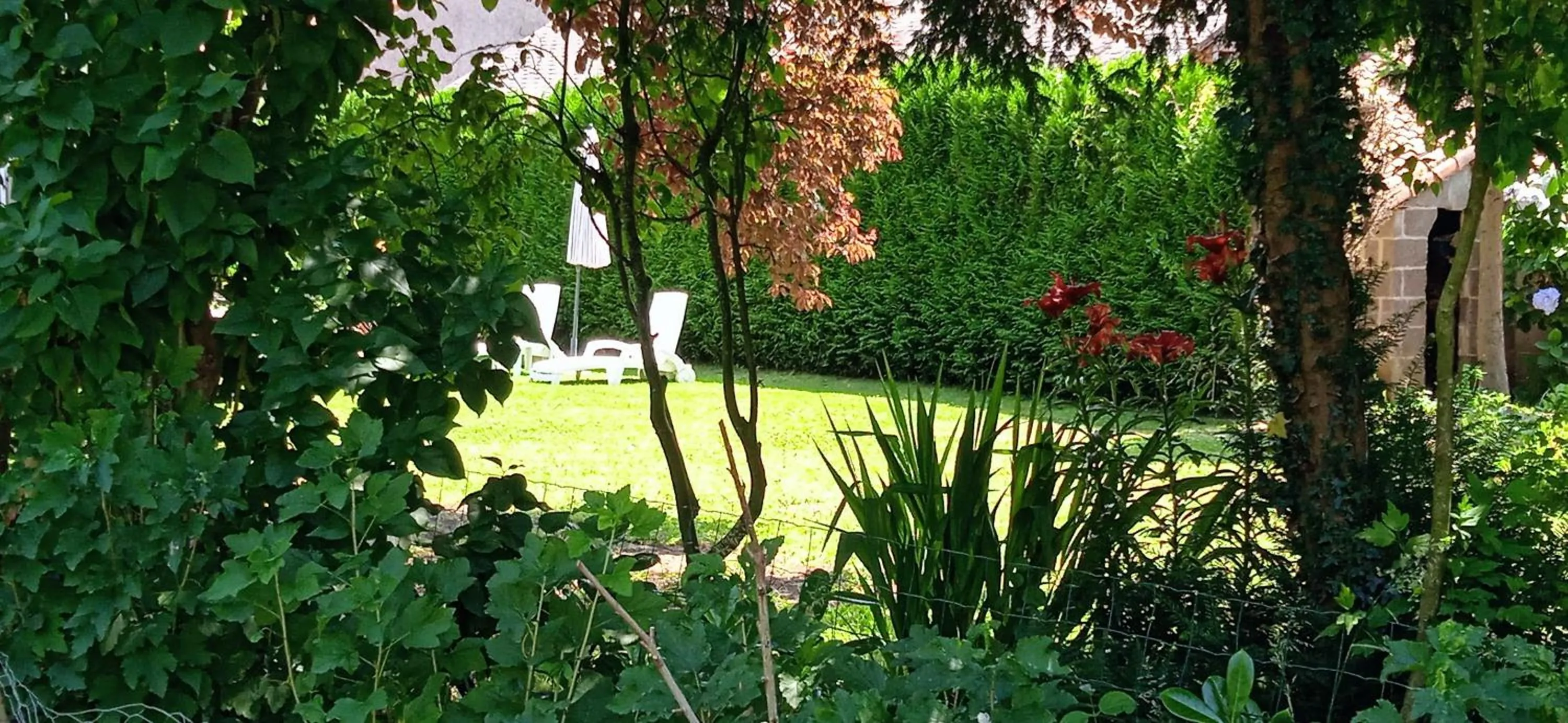 Garden in Les Clés du Parc