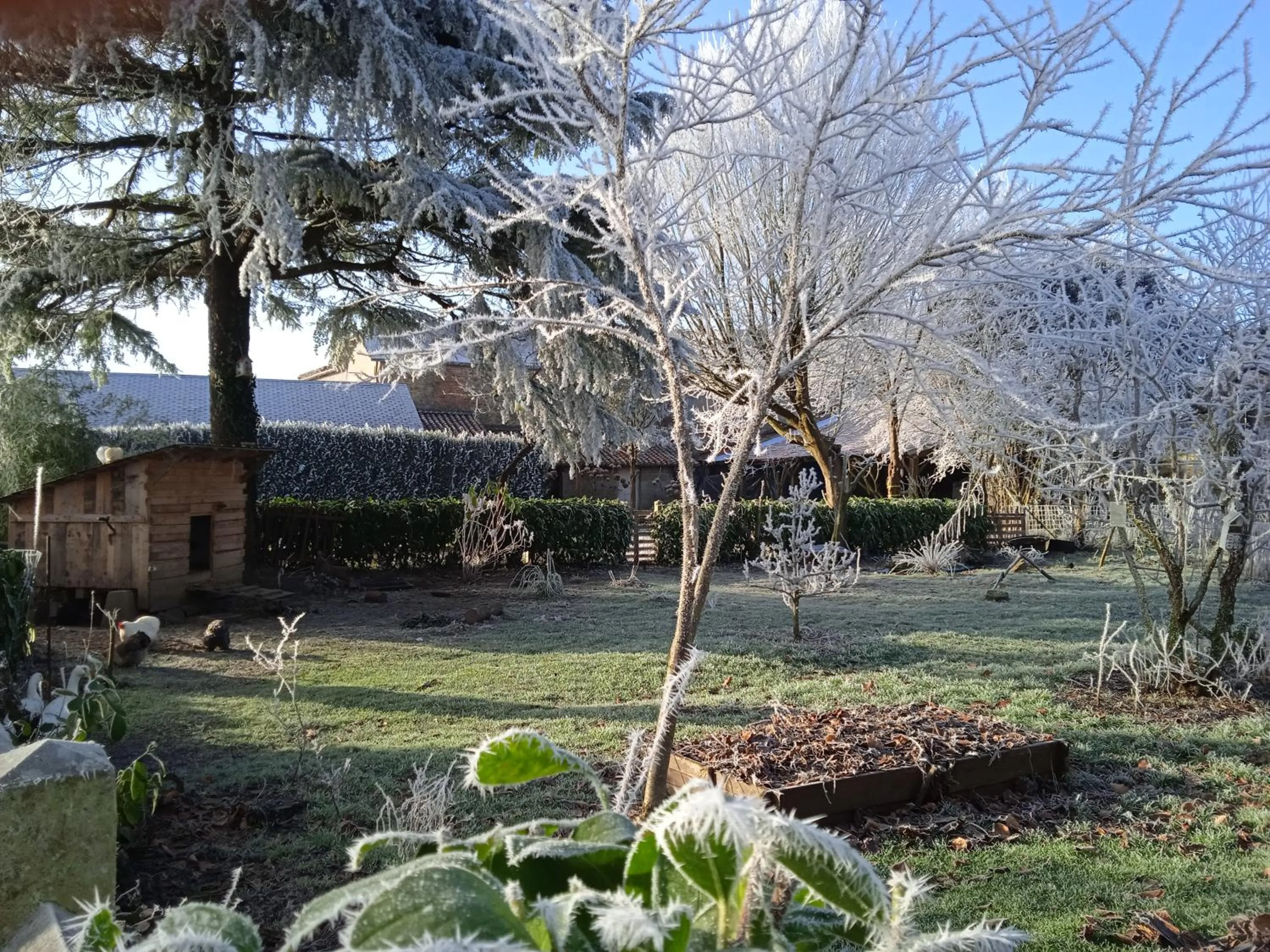 Garden in Les Clés du Parc