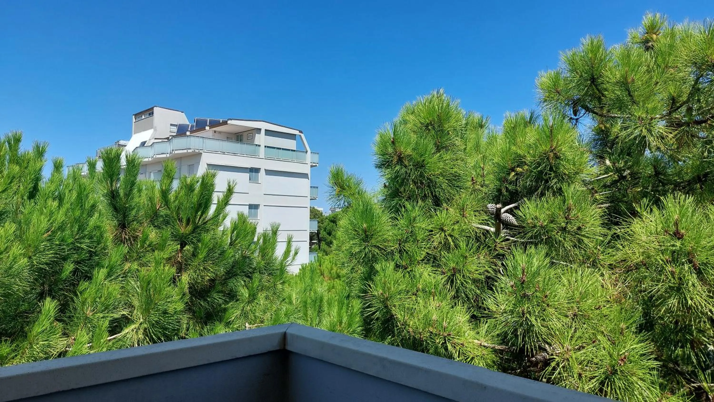 Natural landscape in Hotel Condor