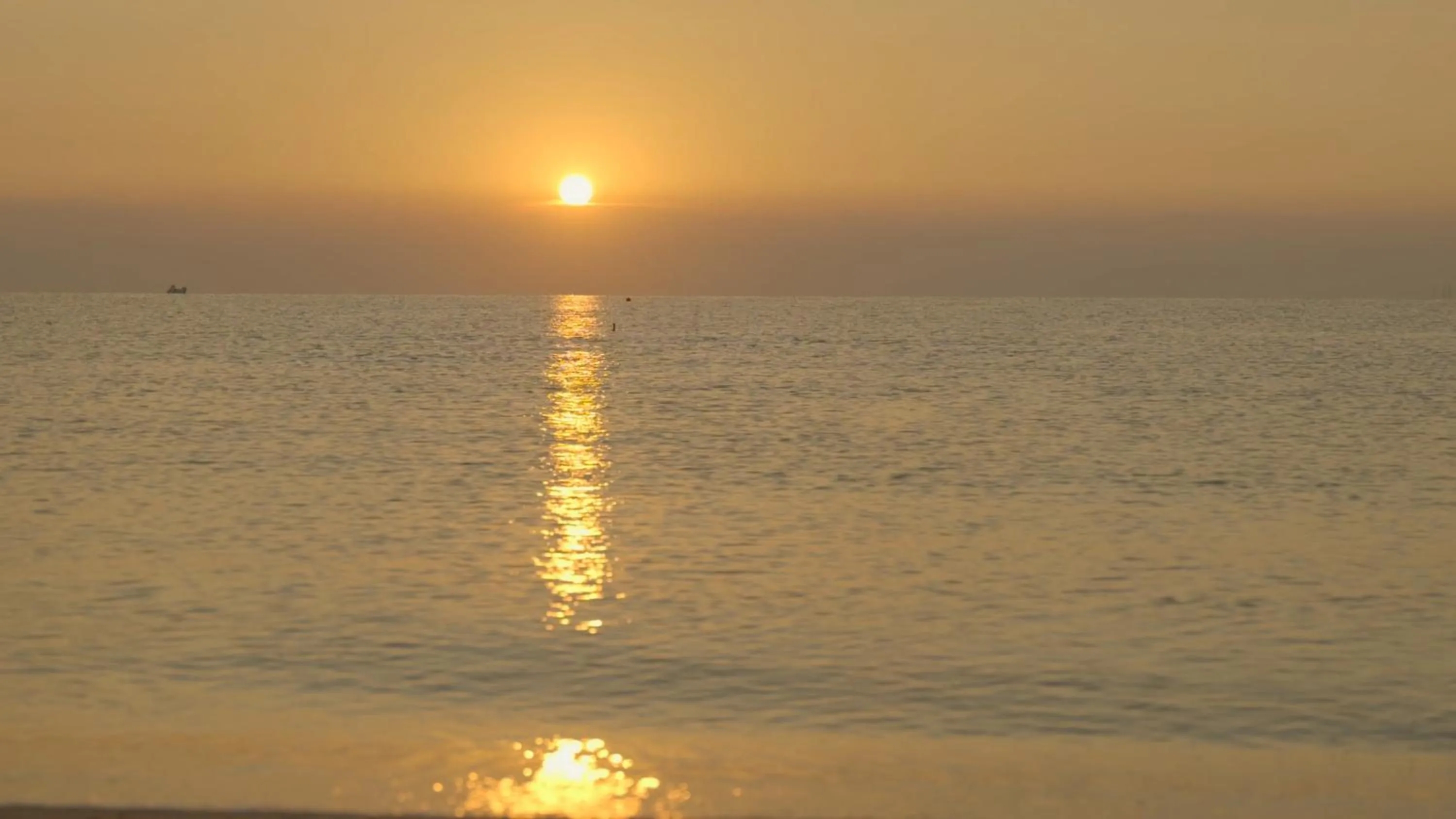 Natural landscape in Hotel Condor