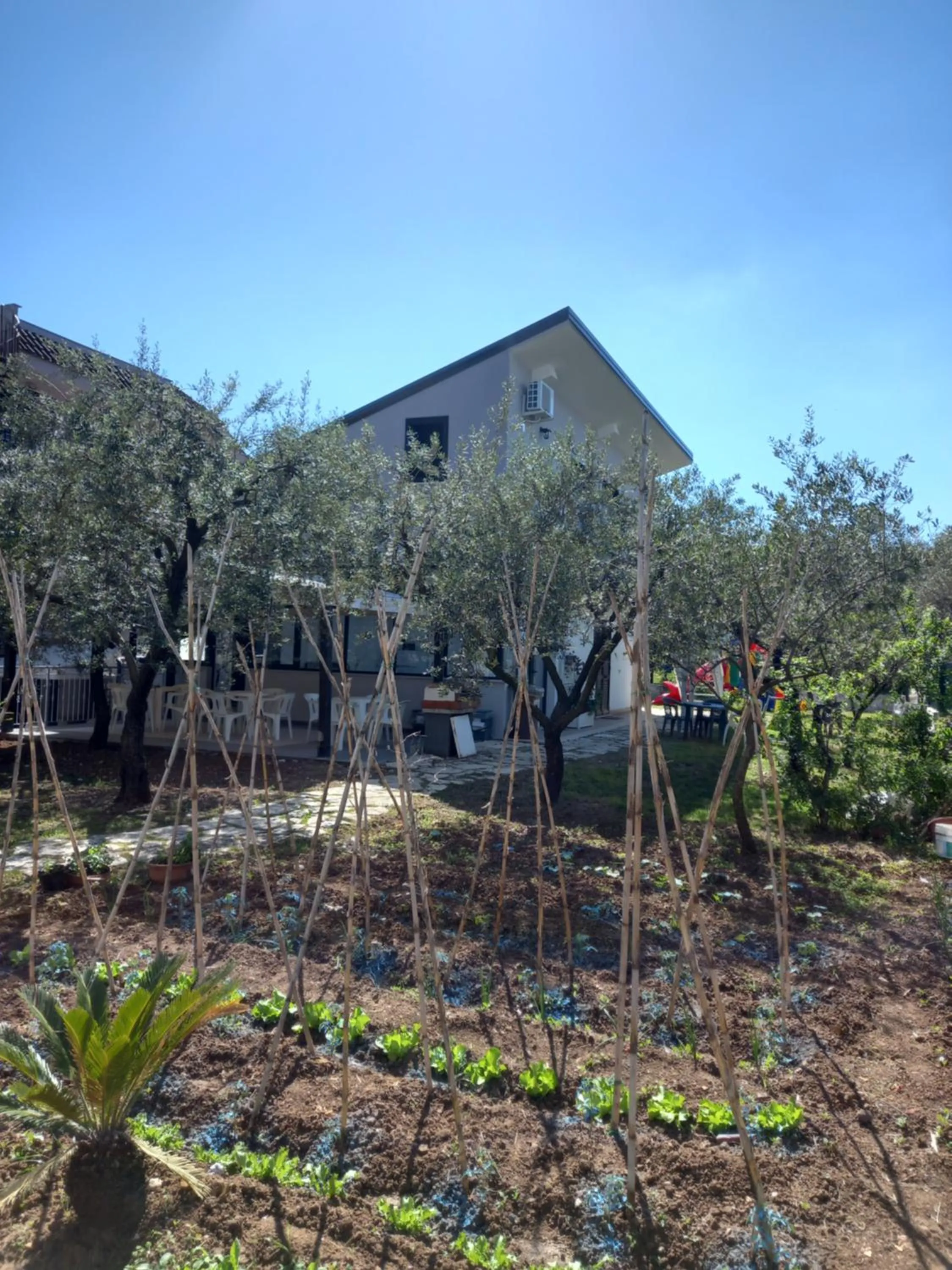 Affittacamere il Tulipano beach Formia