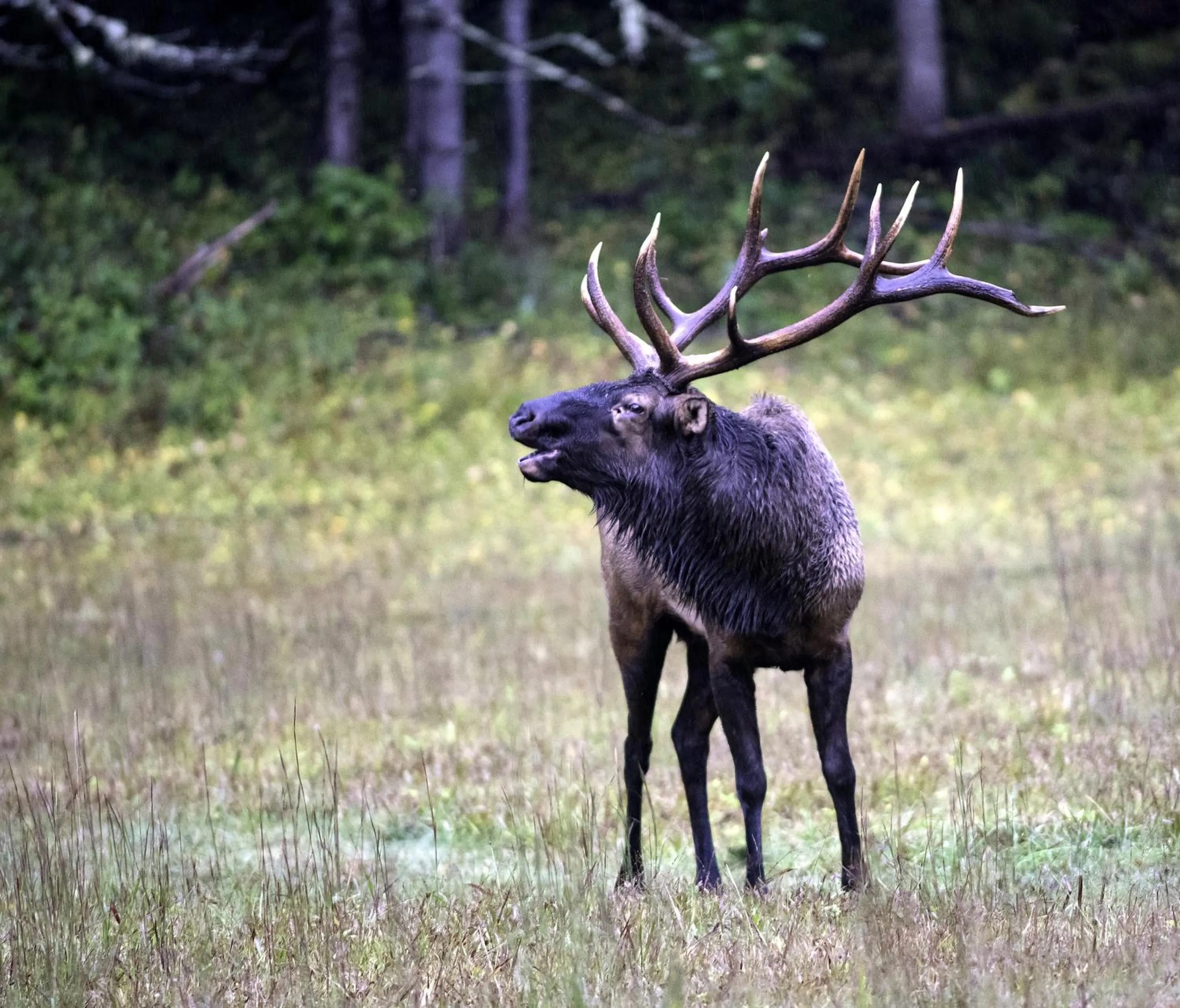 Property building in Stillwater Cove