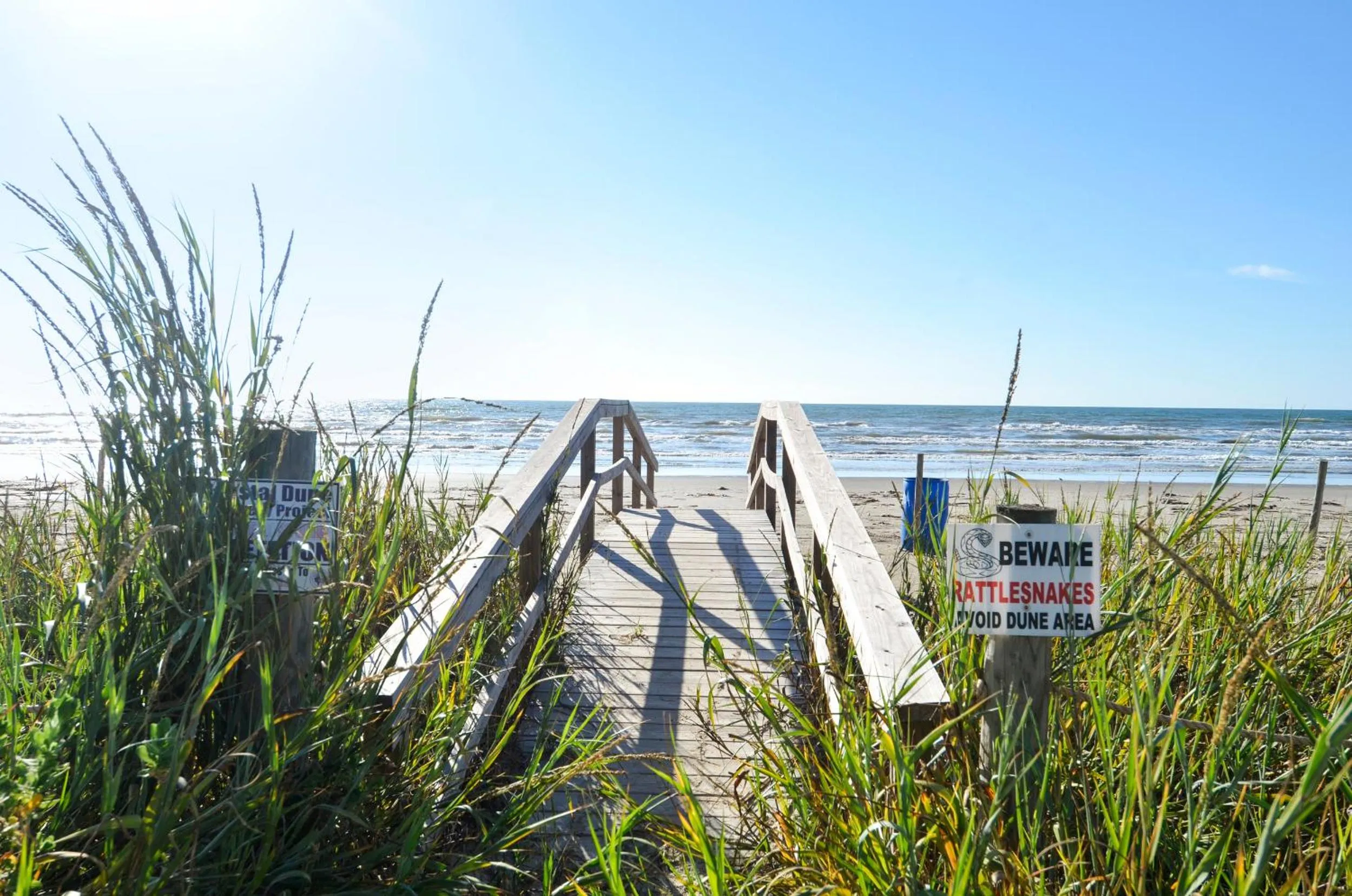 Property building in A Salty Kiss