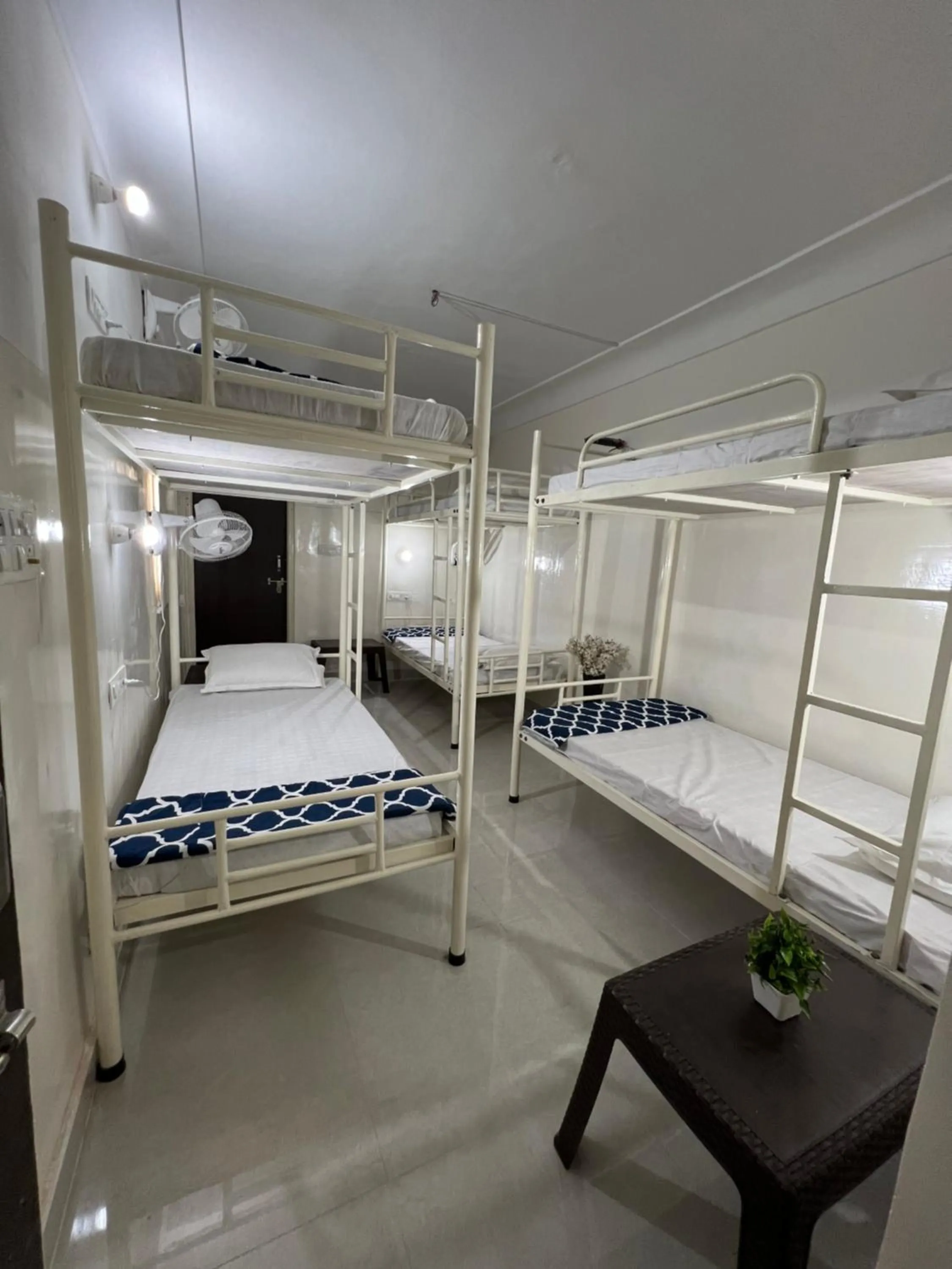 bunk bed, Bed in Hostel ivory