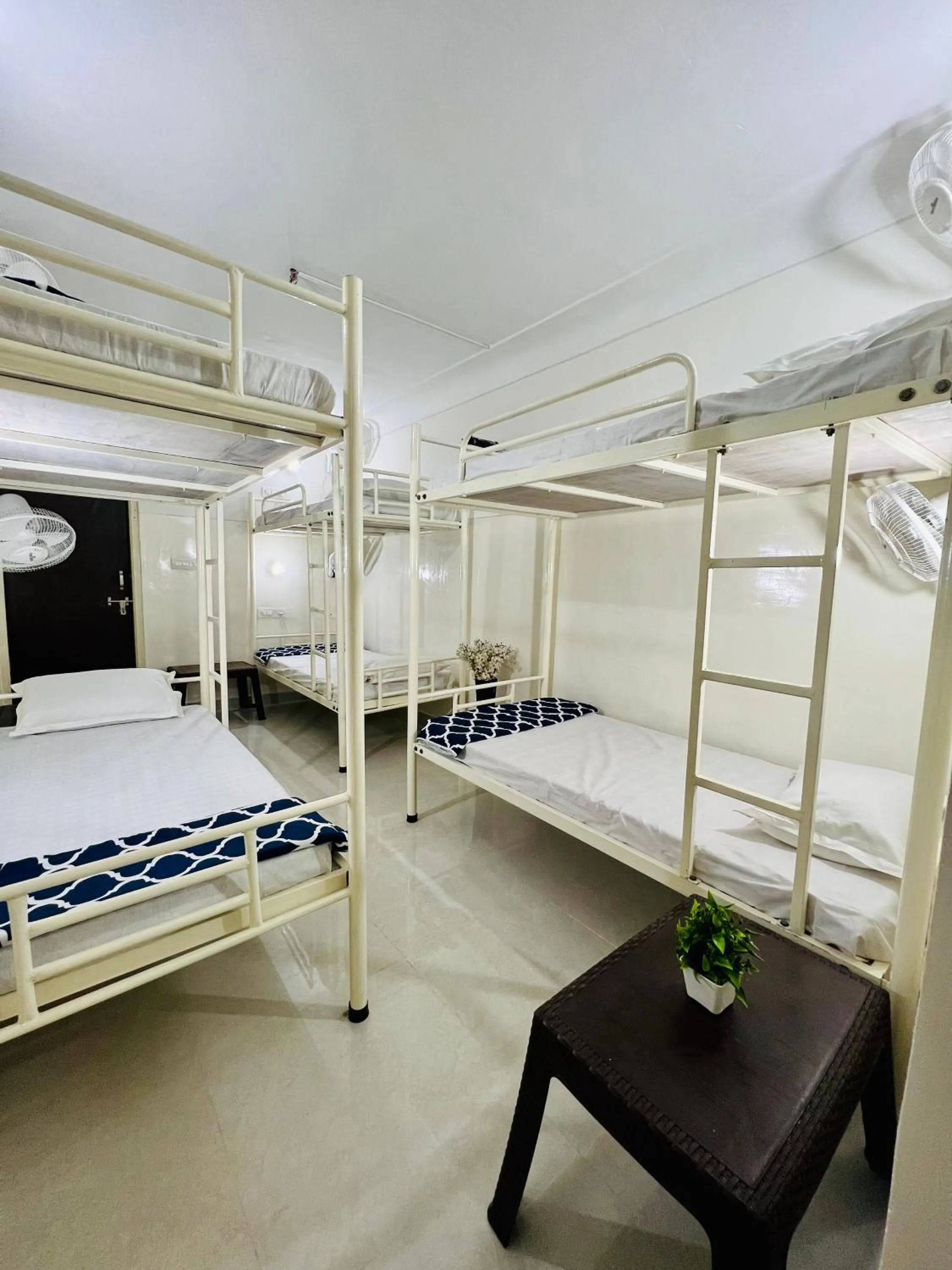 bunk bed, Bed in Hostel ivory