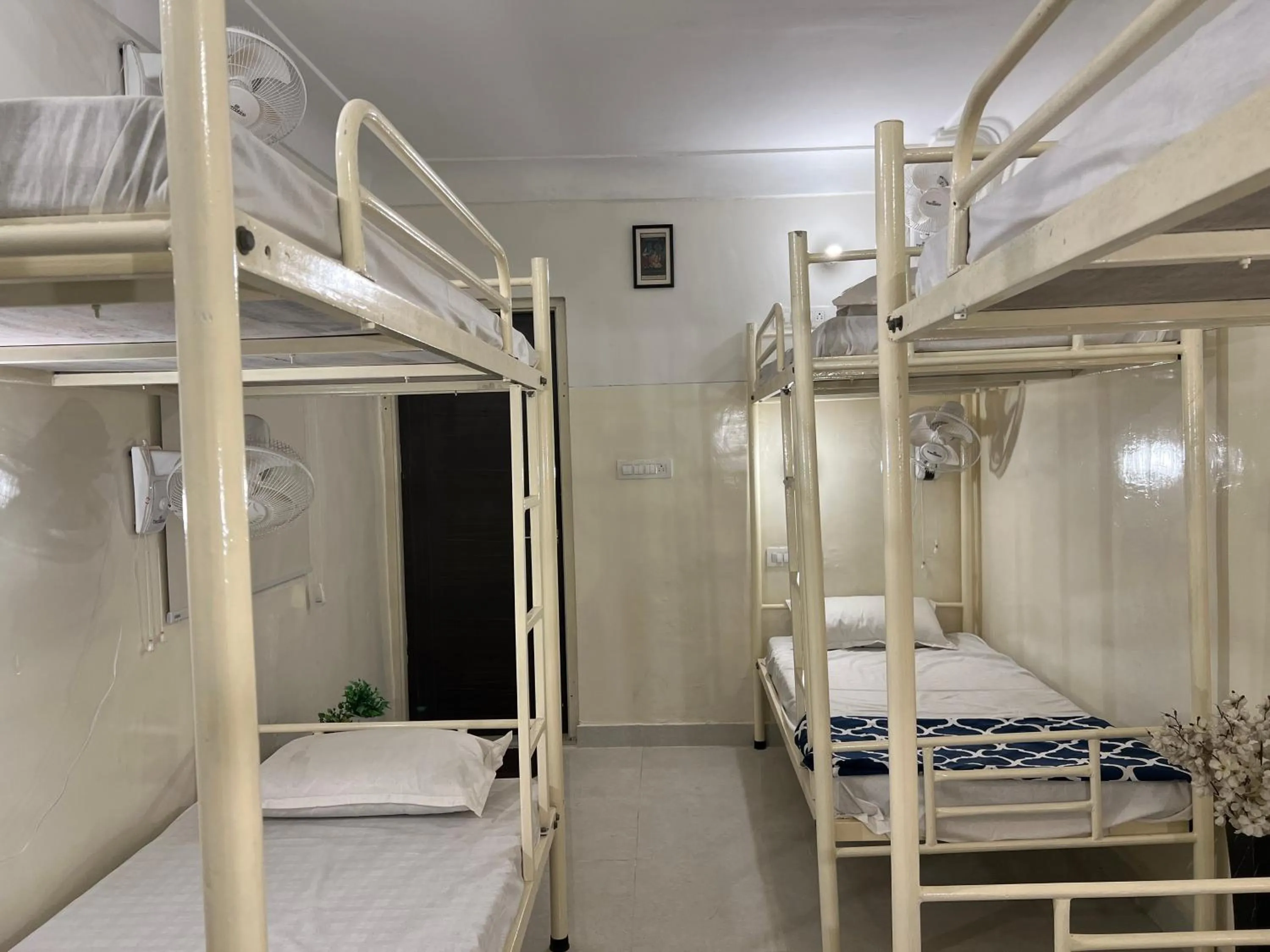bunk bed, Bed in Hostel ivory
