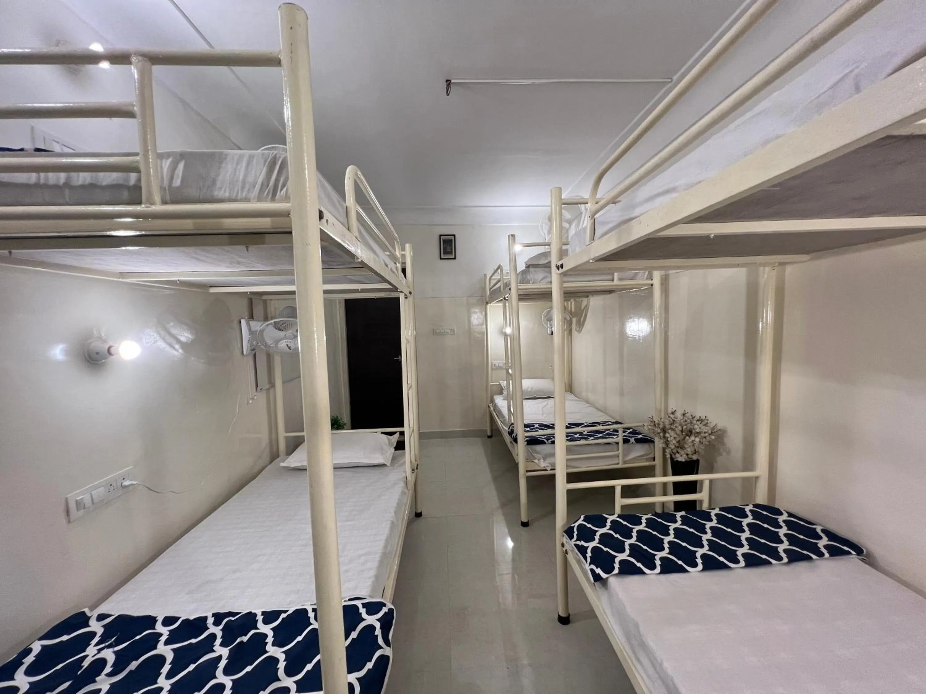 bunk bed, Bed in Hostel ivory