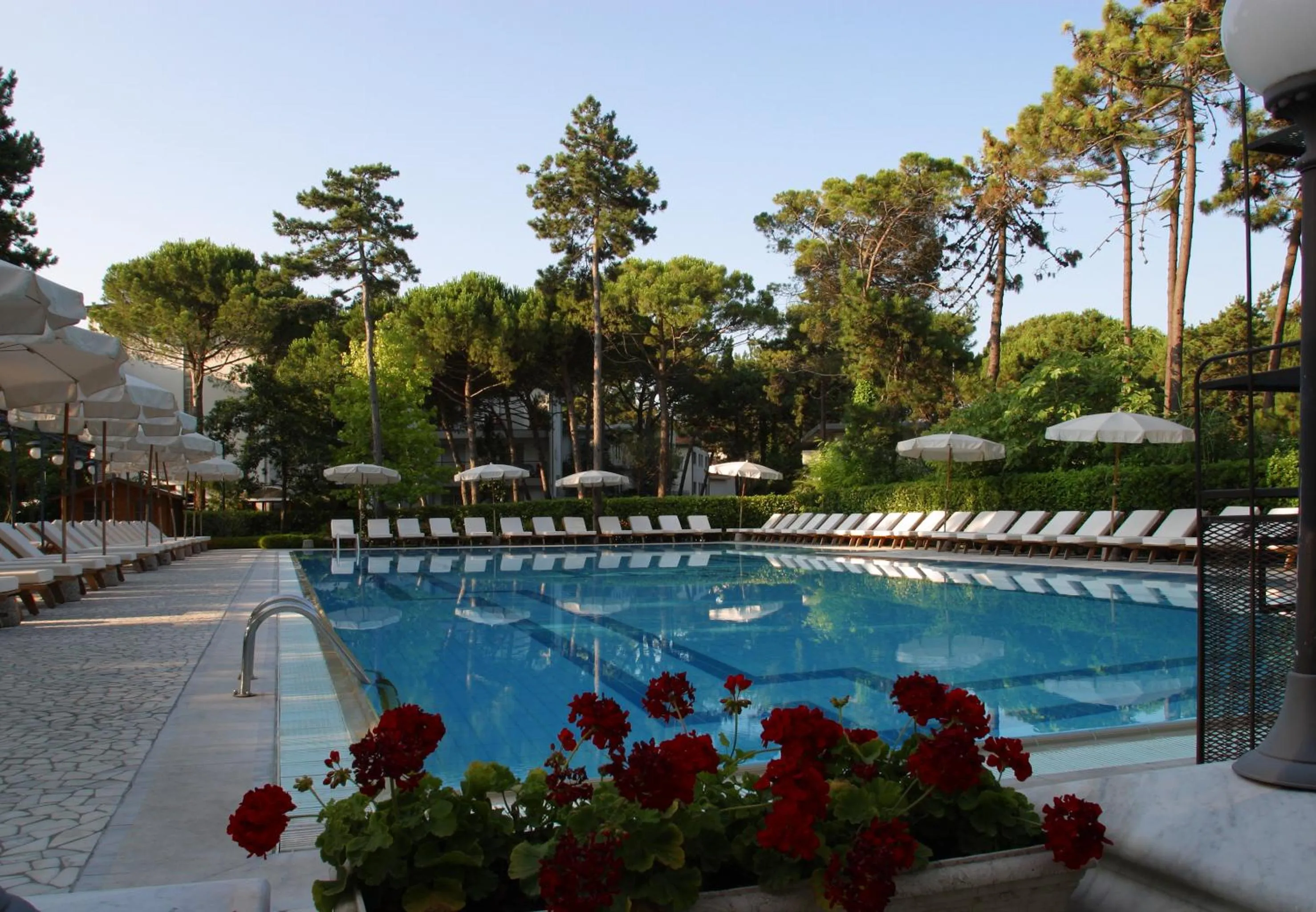 Swimming pool in Hotel Greif