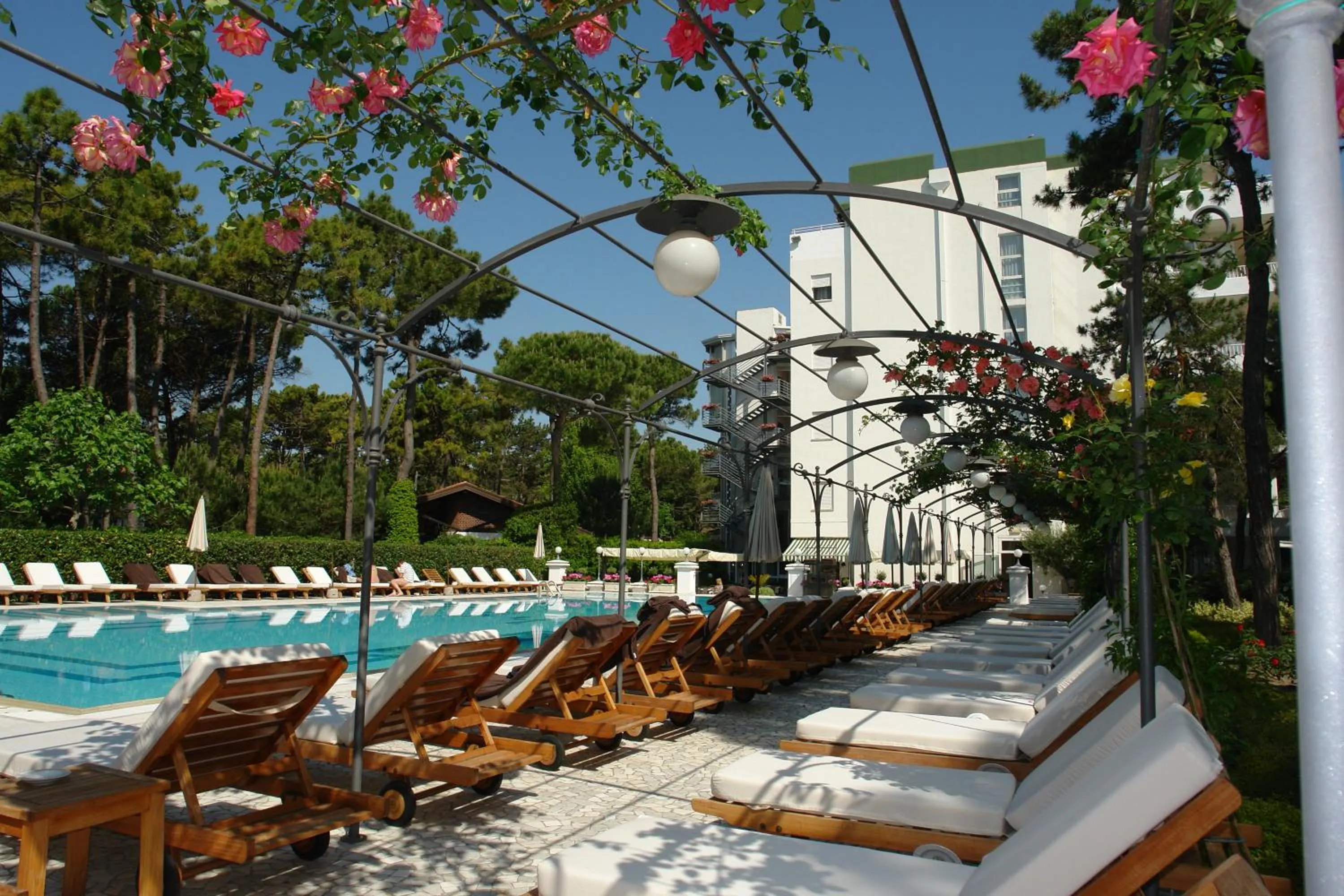 Balcony/Terrace in Hotel Greif