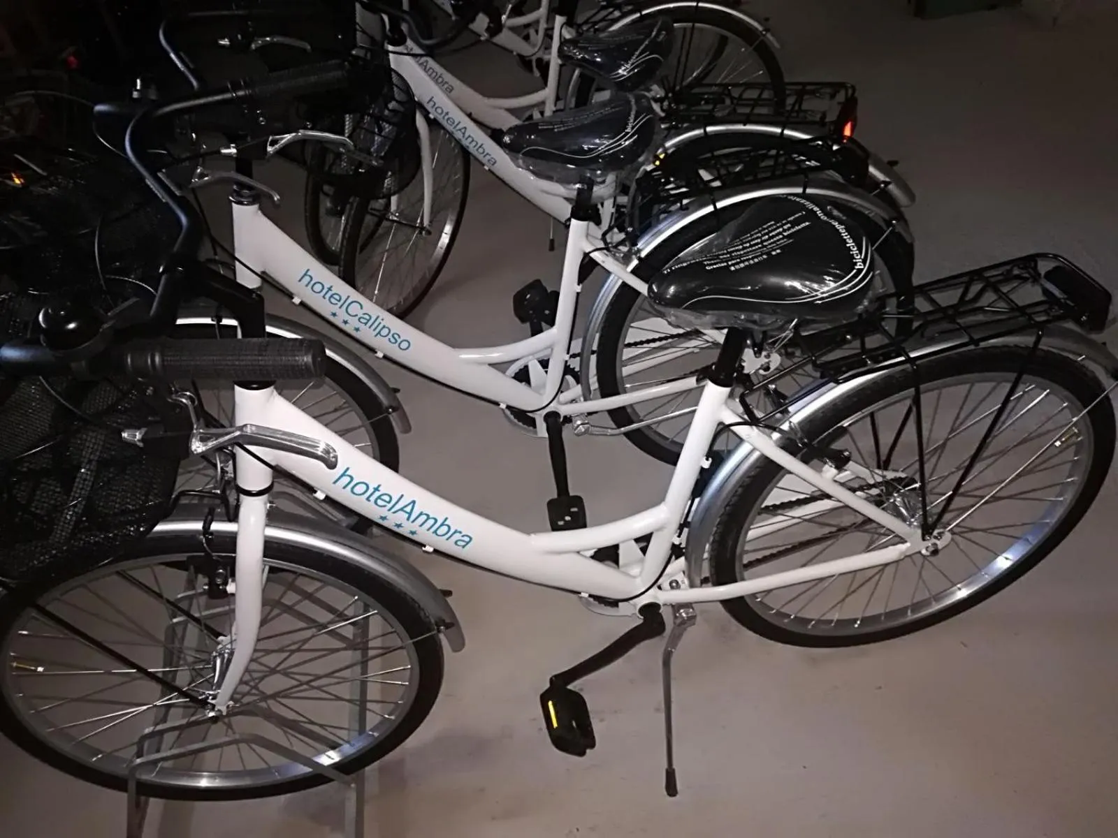 Area and facilities in Hotel Ambra