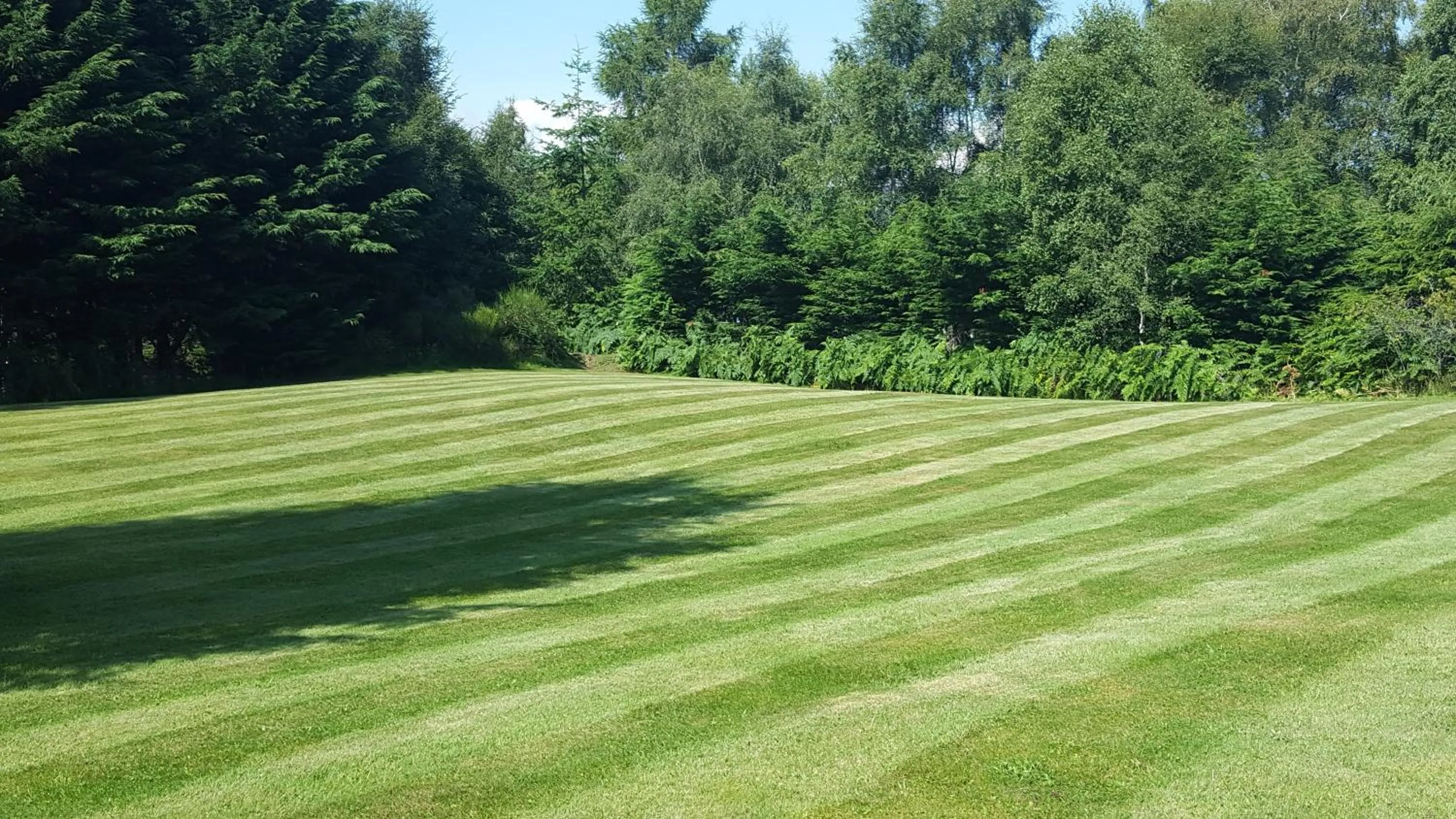 Garden view in Torcroft Lodges