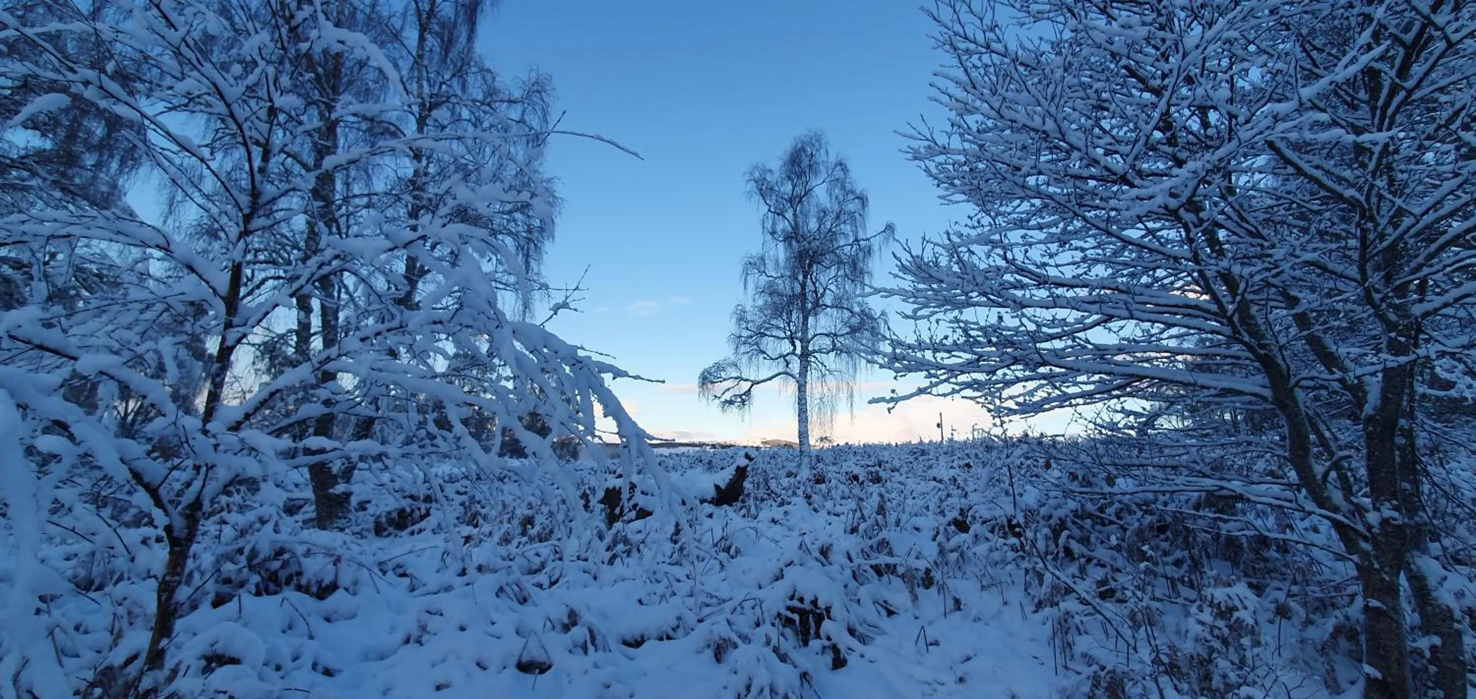 Day in Torcroft Lodges