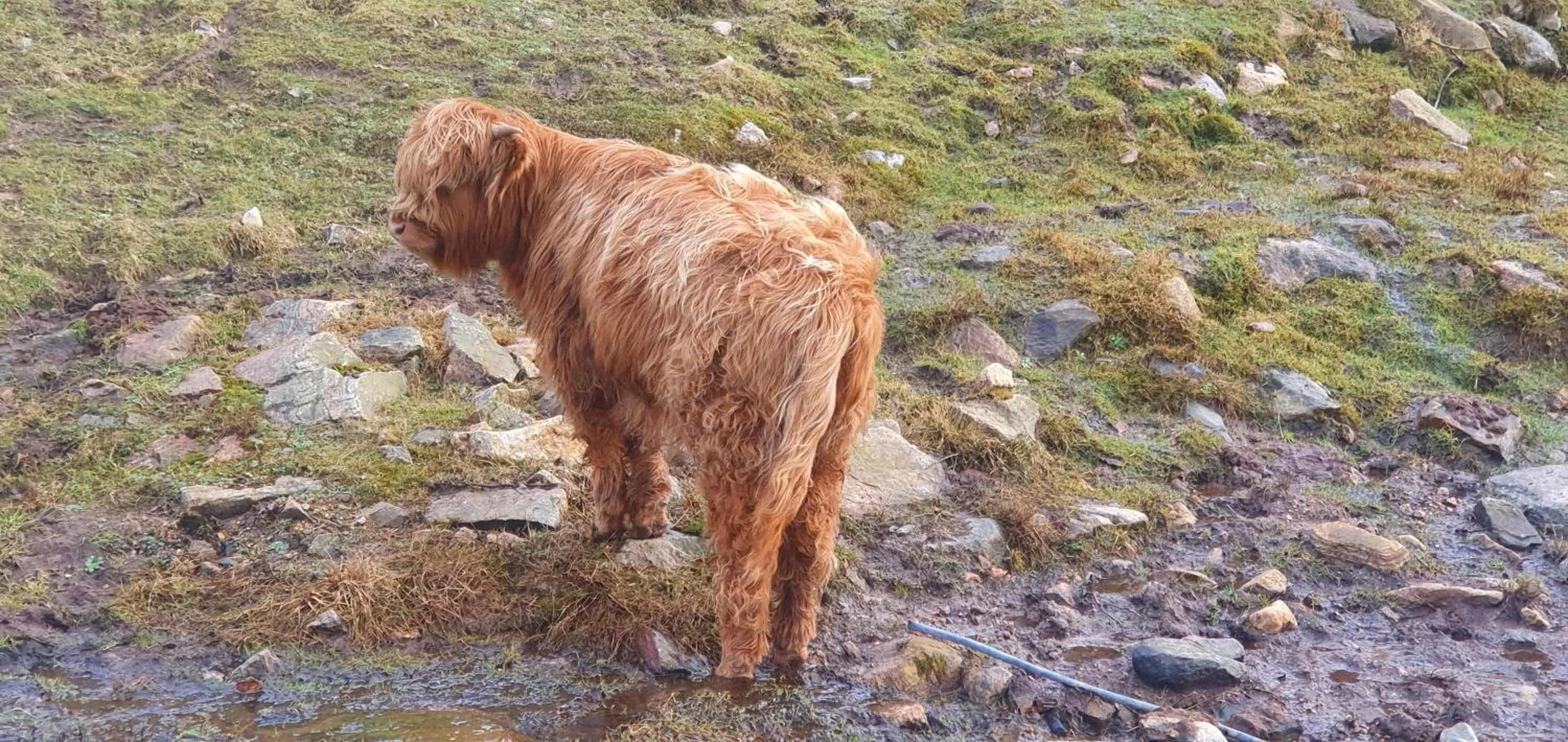 Day in Torcroft Lodges