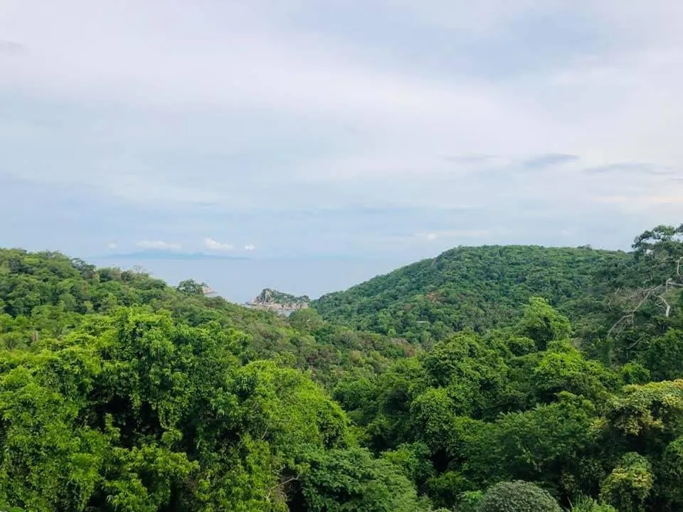 Restaurant/places to eat in Tree House Bungalows Koh Tao