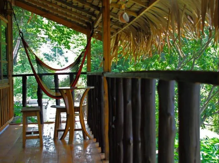 Day in Tree House Bungalows Koh Tao