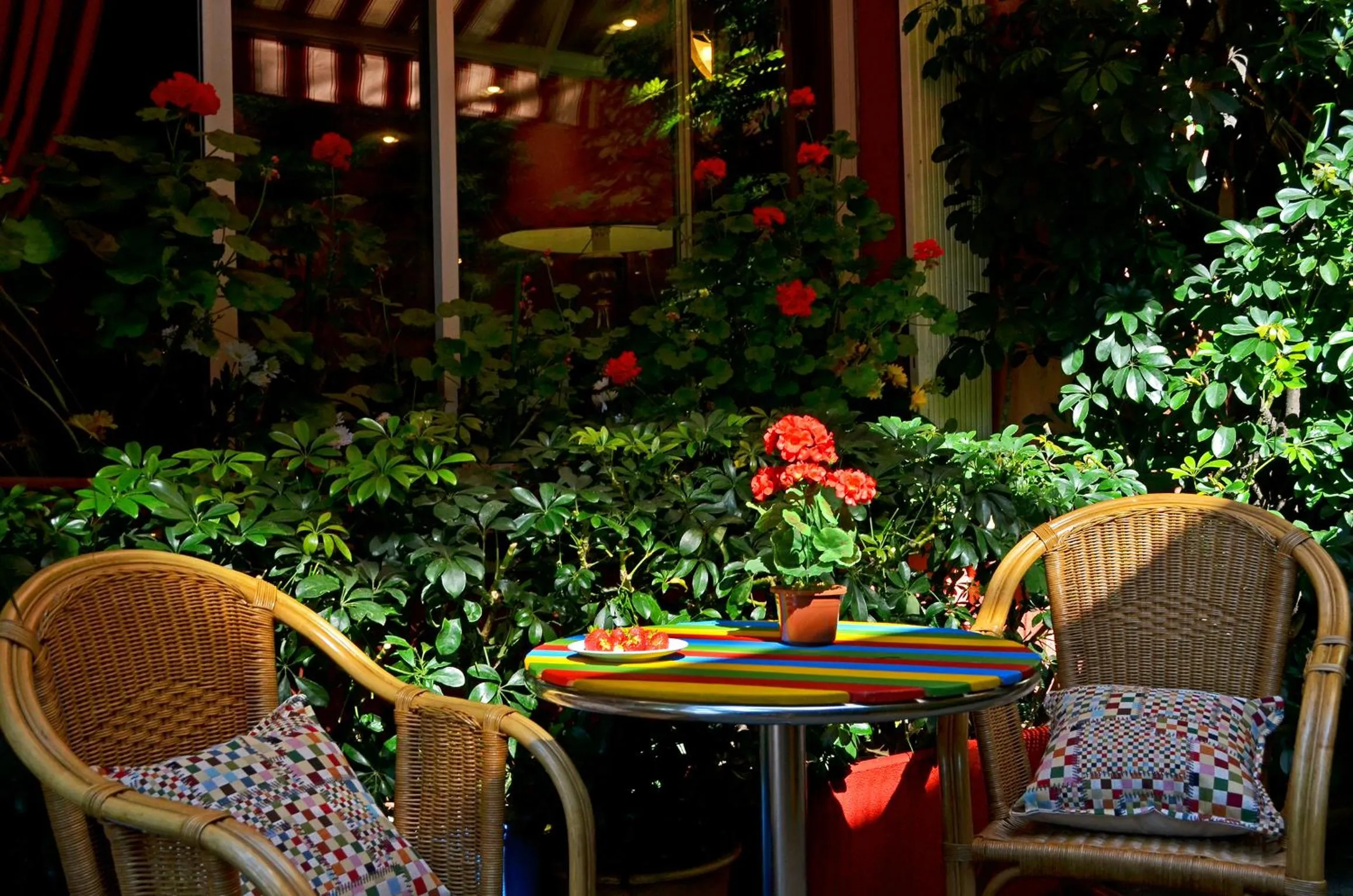 Patio in Hotel Miro'