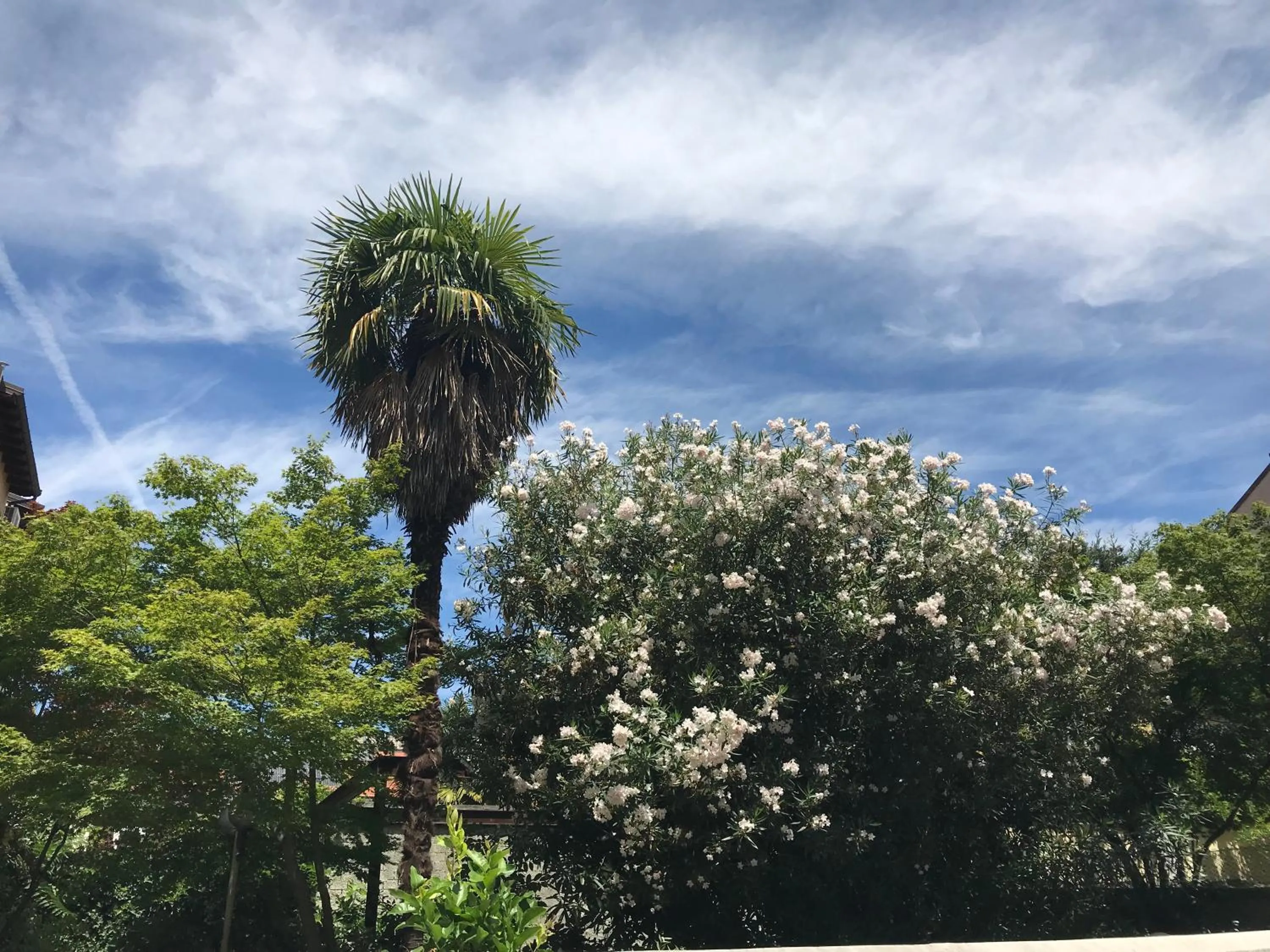 Garden view in Hotel Aspromonte