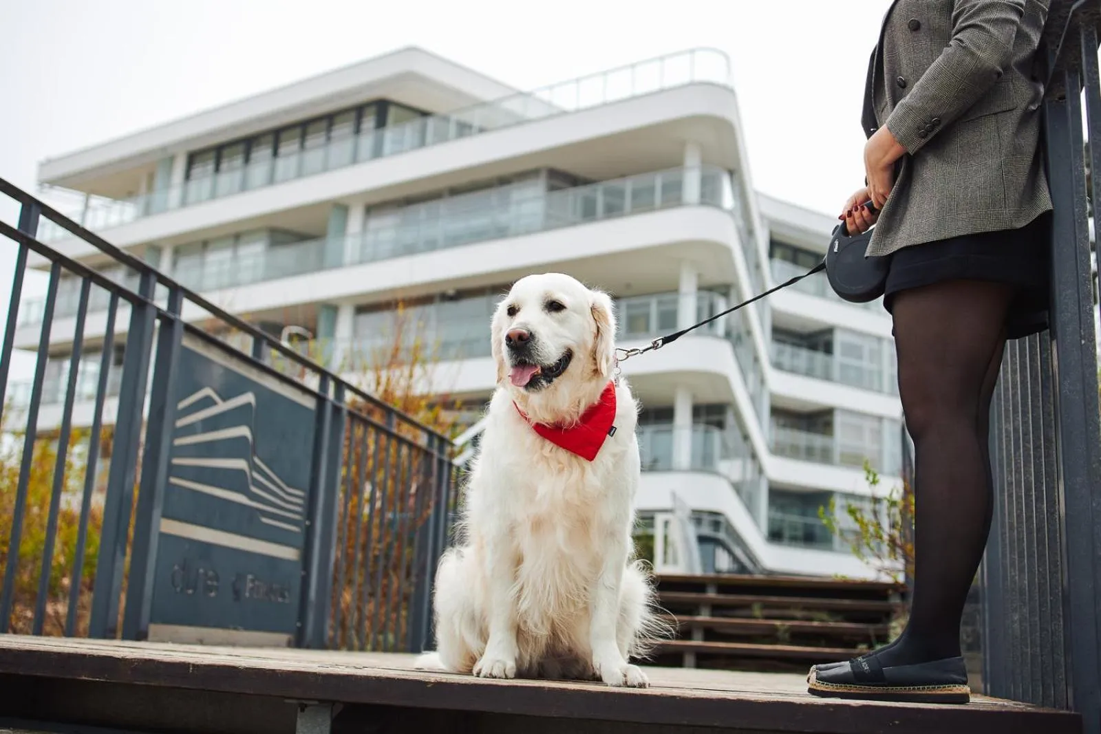 Pets in Dune Beach Resort - A