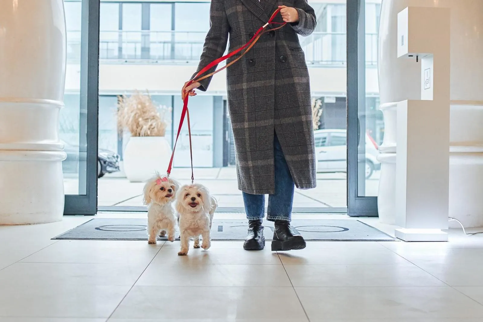 Pets in Dune Beach Resort - A