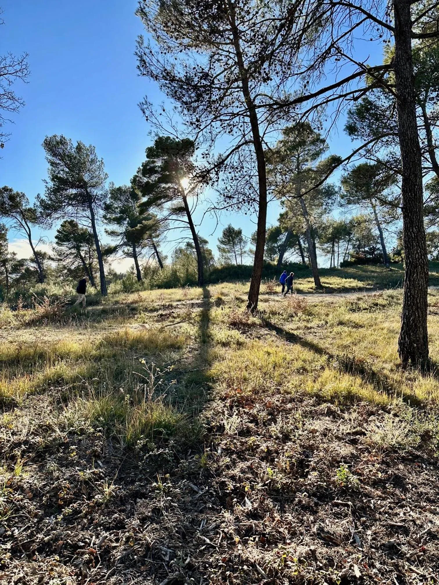 Natural landscape in Domaine La Ferme HI bride