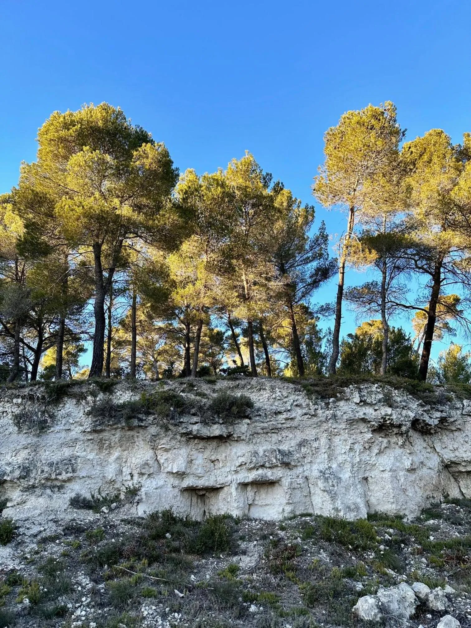 Natural landscape in Domaine La Ferme HI bride