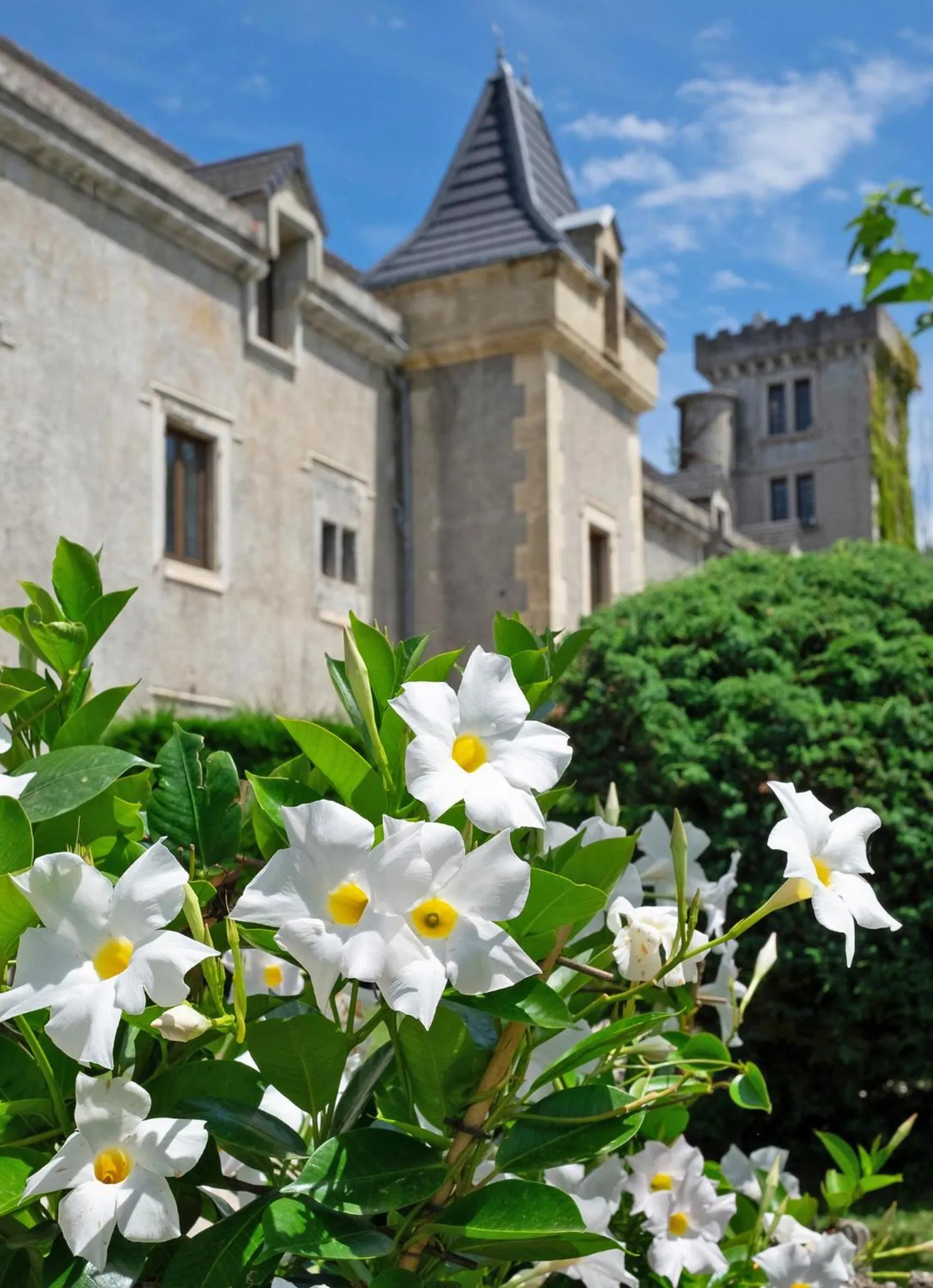 Property building in Château de Fontager