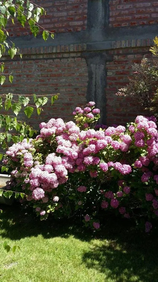 La Casa de Paula Hotel Boutique