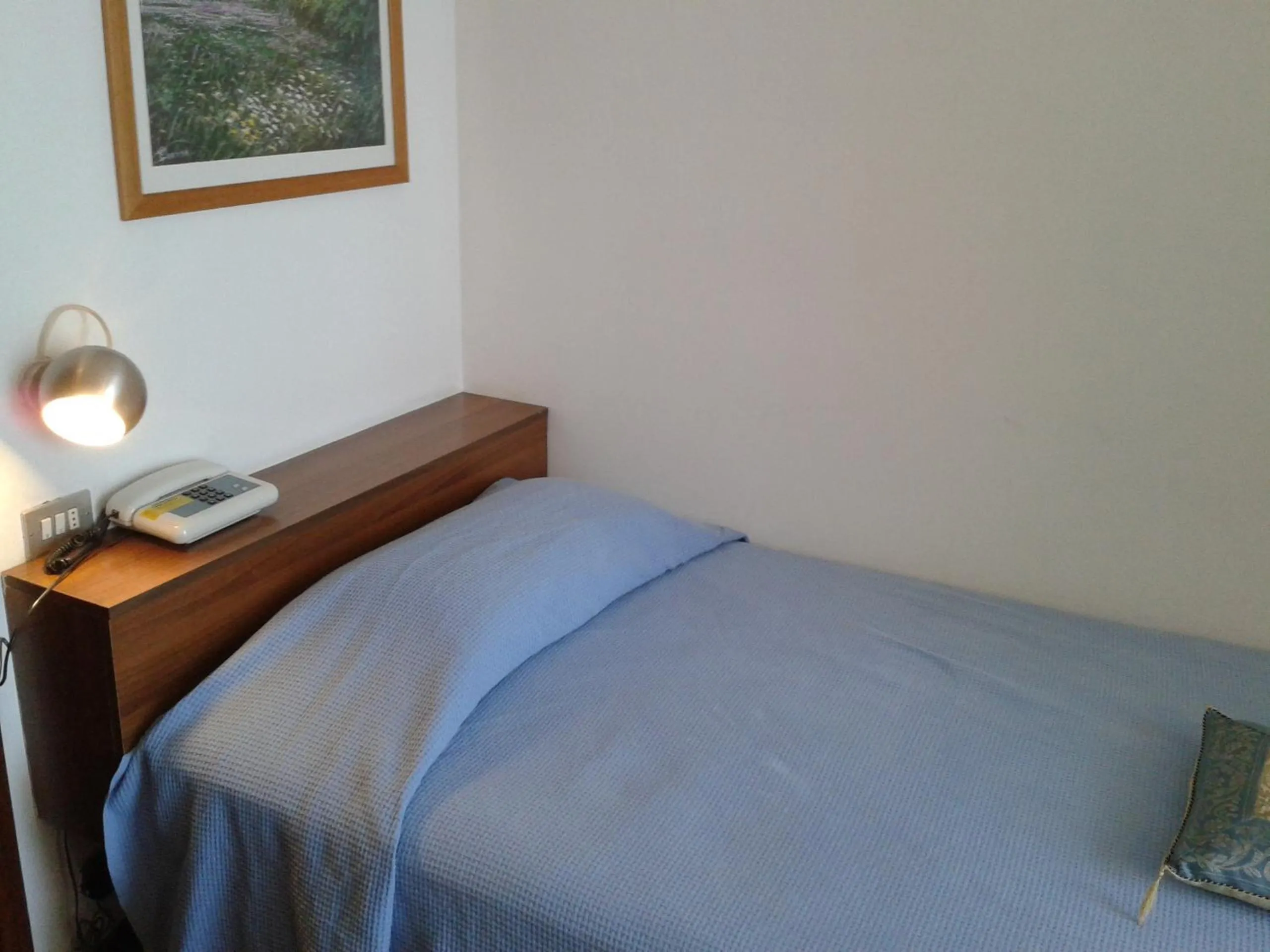 Photo of the whole room in Hotel Garden Ristorante